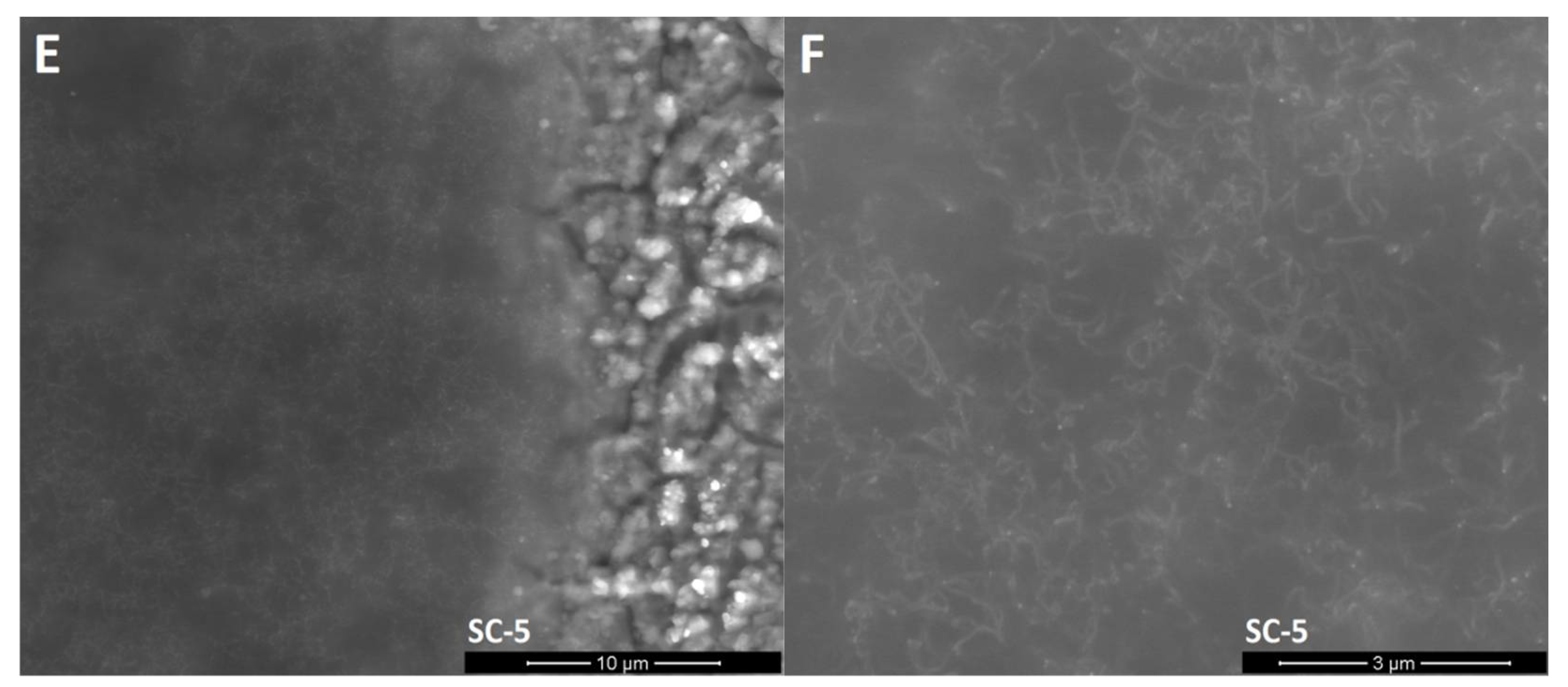 Coatings 11 00920 g003b