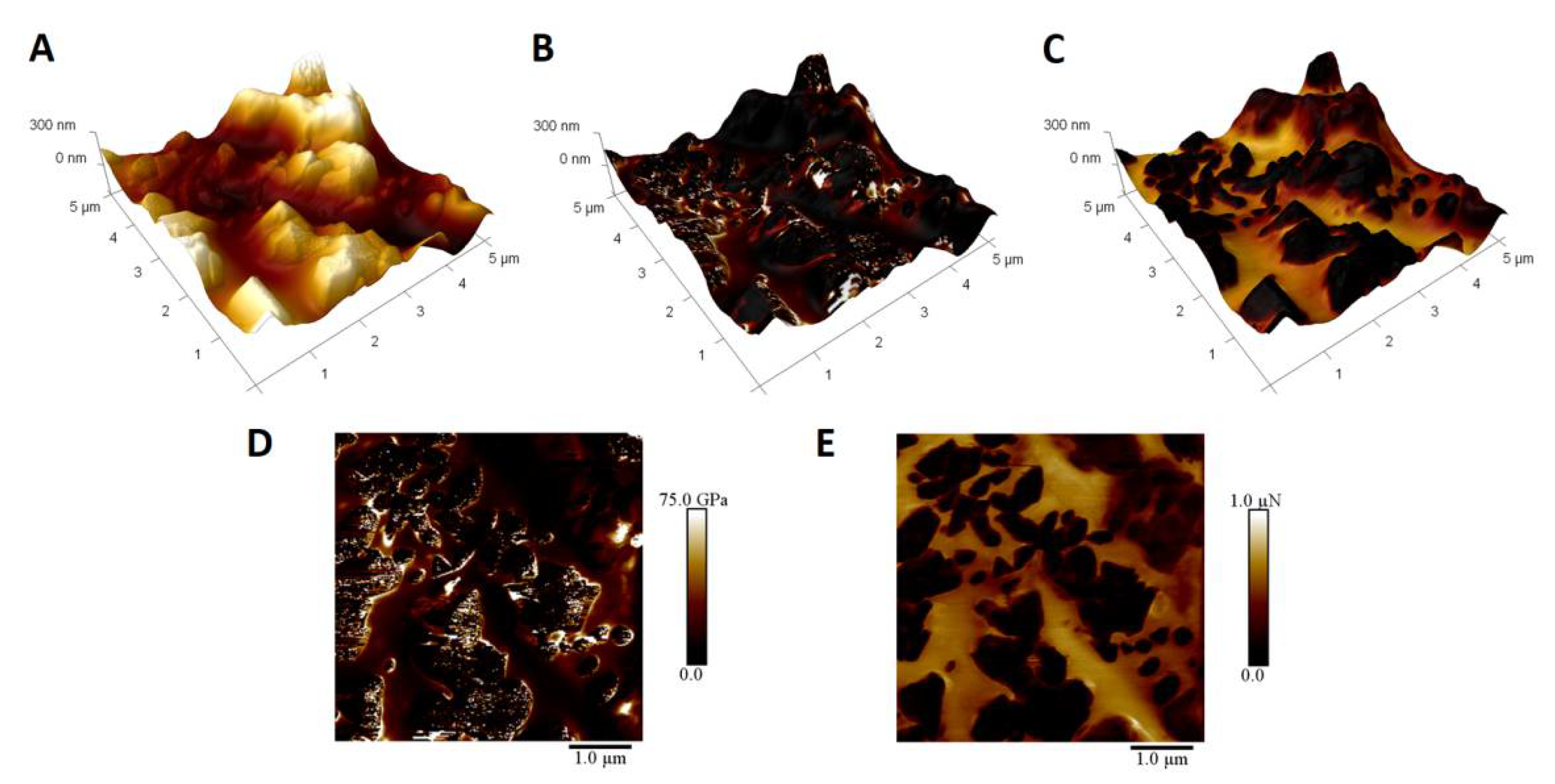Coatings 11 00920 g006
