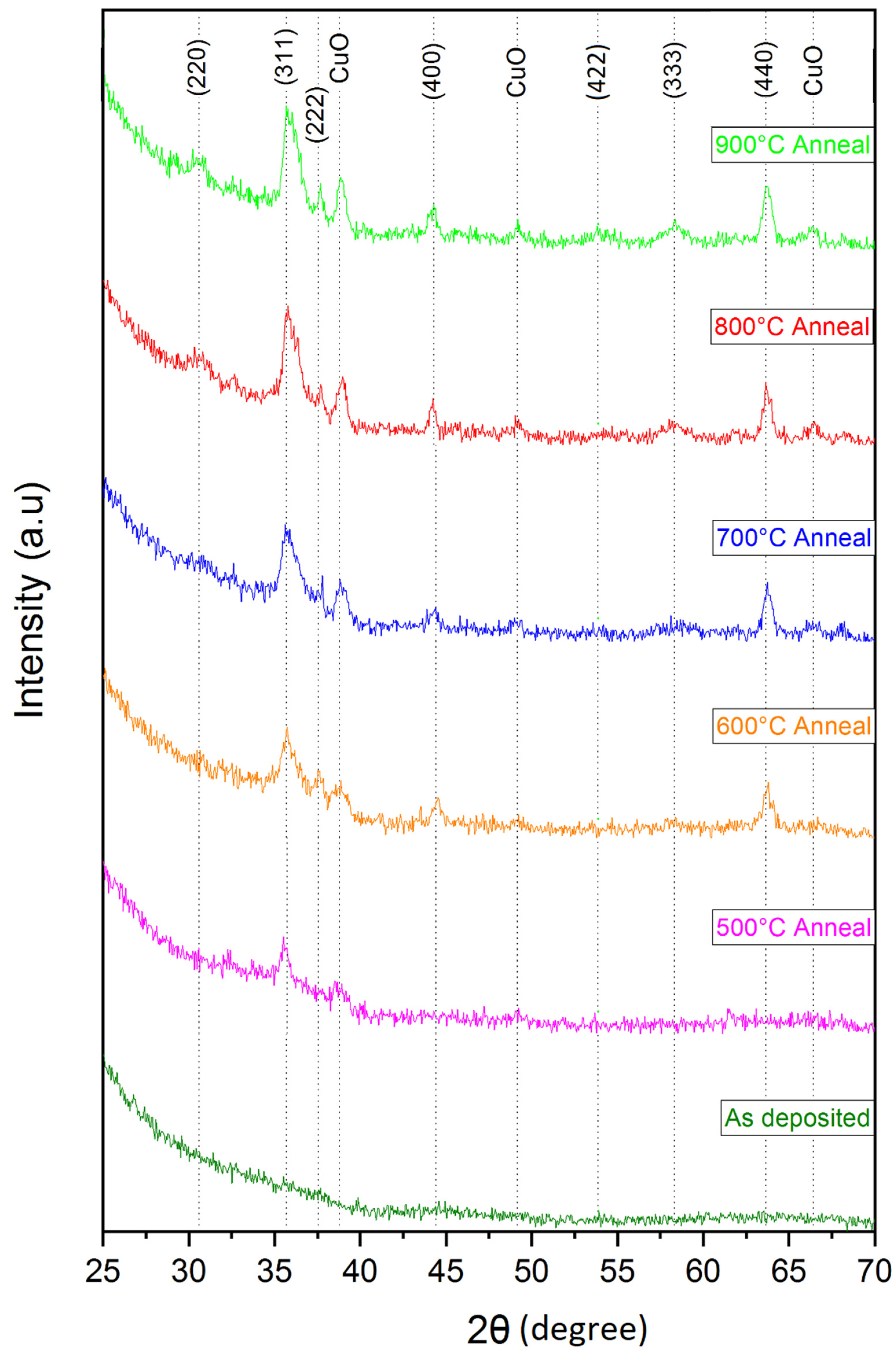 Coatings 11 00921 g002