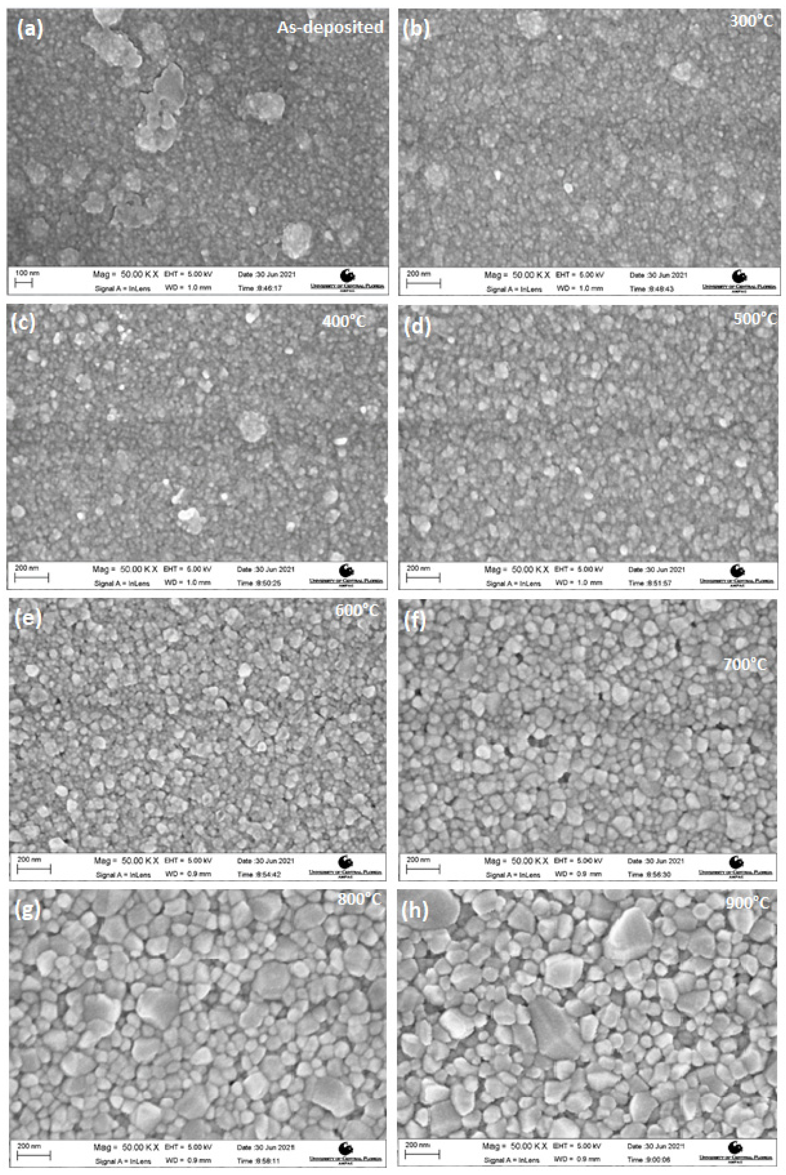 Coatings 11 00921 g004
