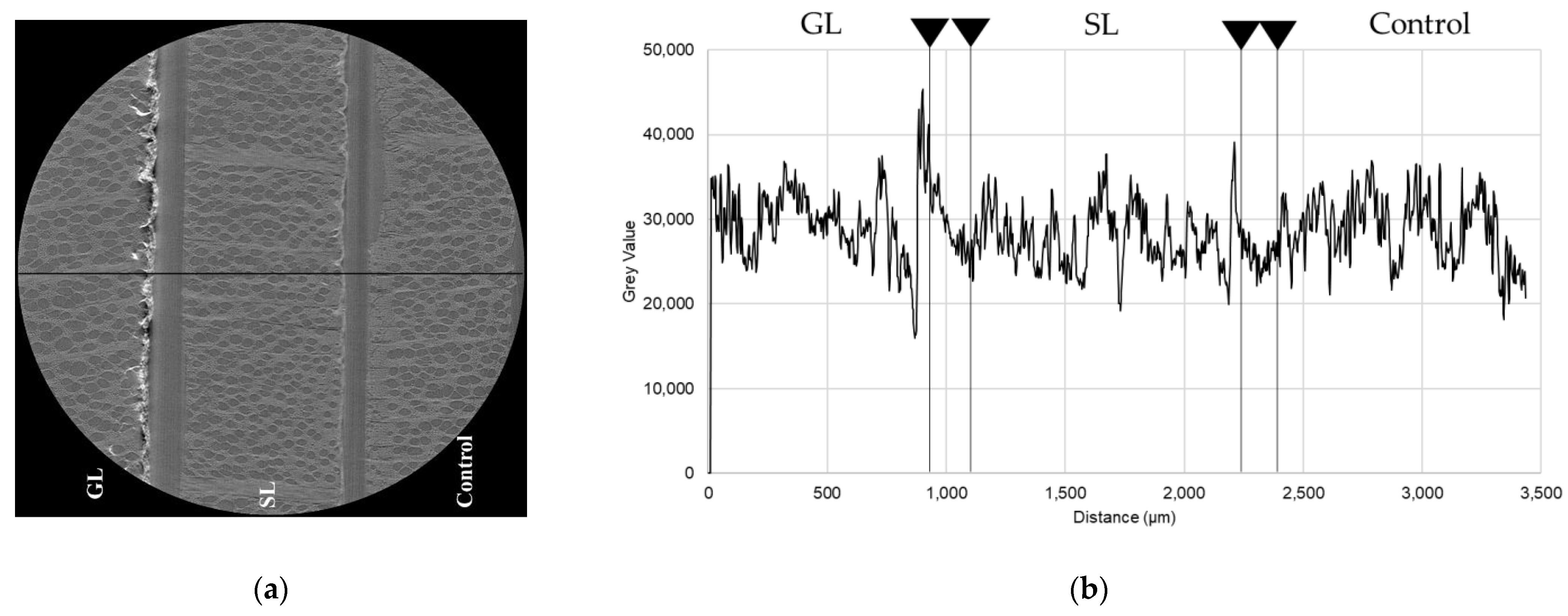 Coatings 11 00927 g005