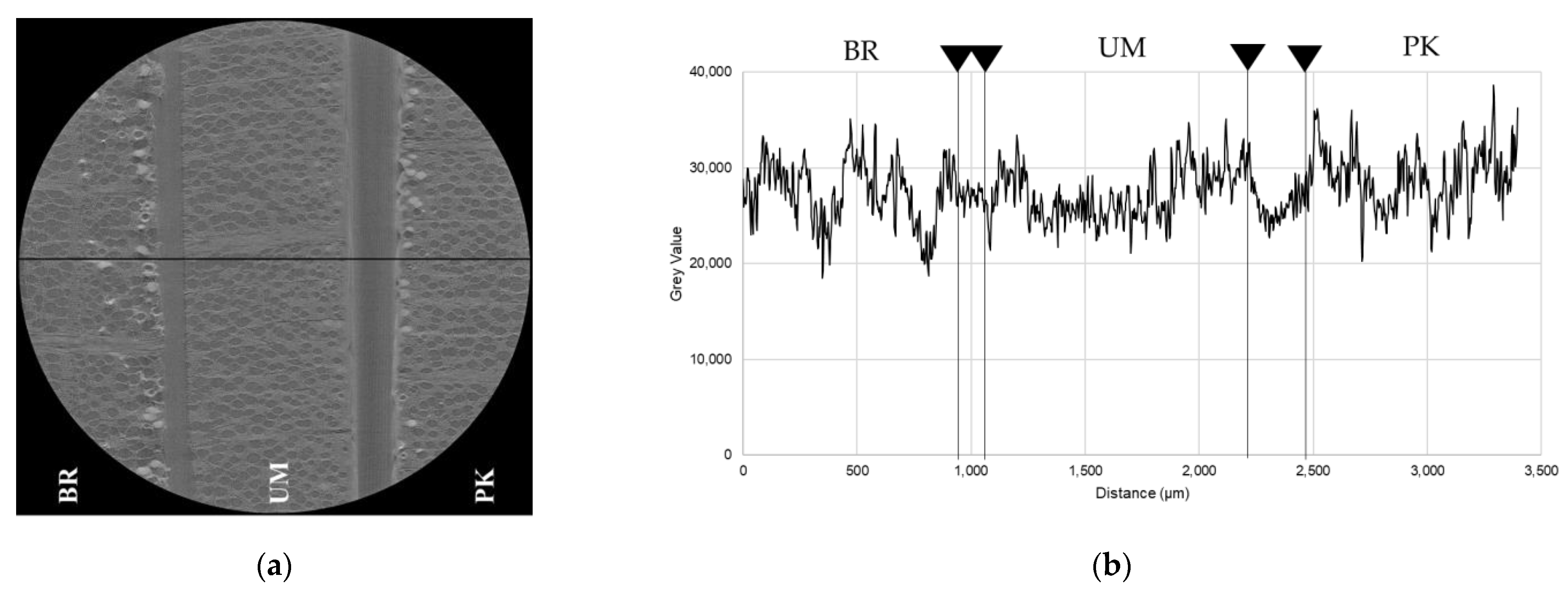 Coatings 11 00927 g006