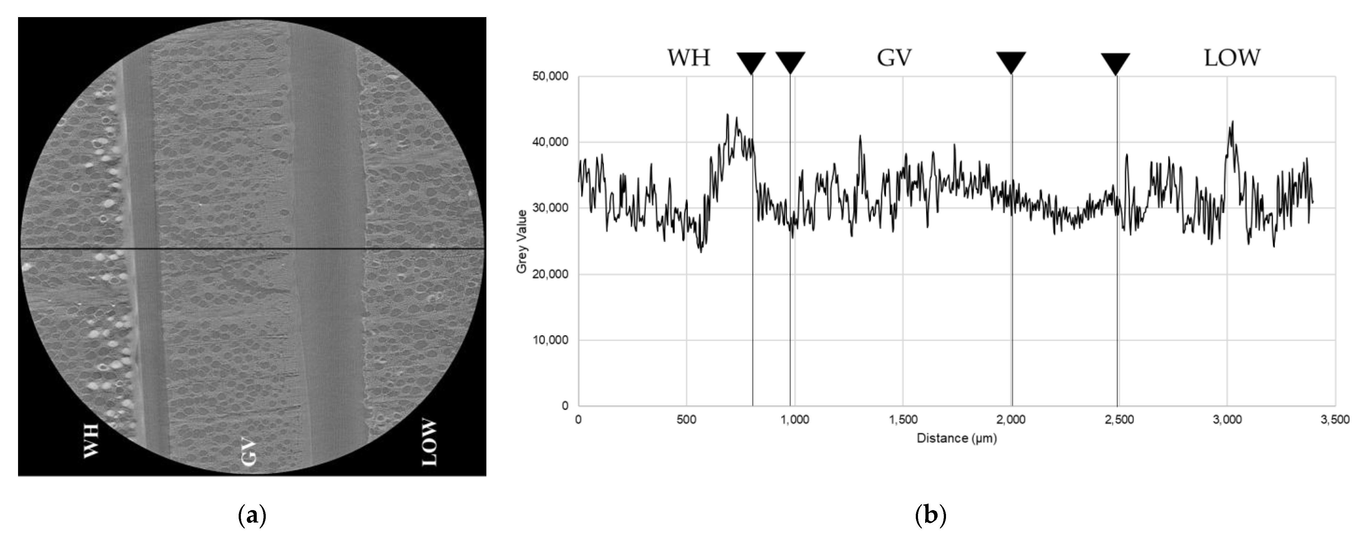 Coatings 11 00927 g007