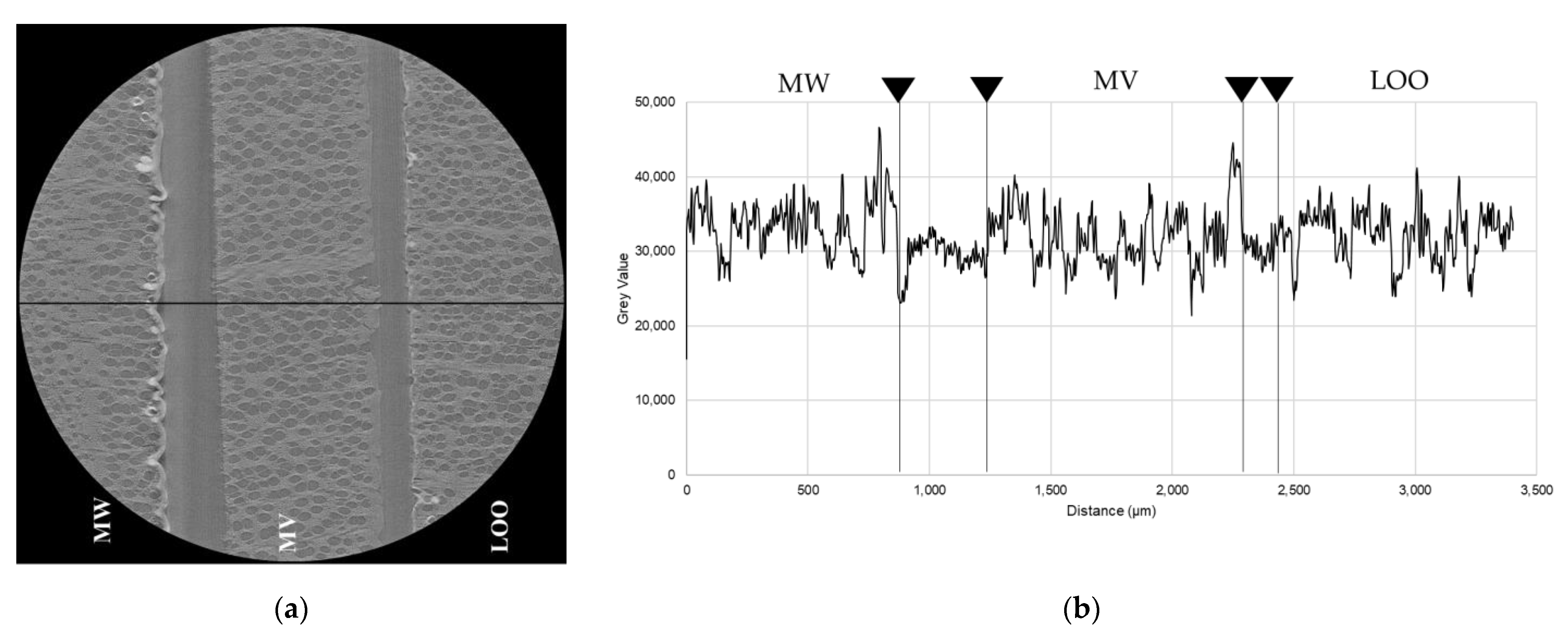 Coatings 11 00927 g008