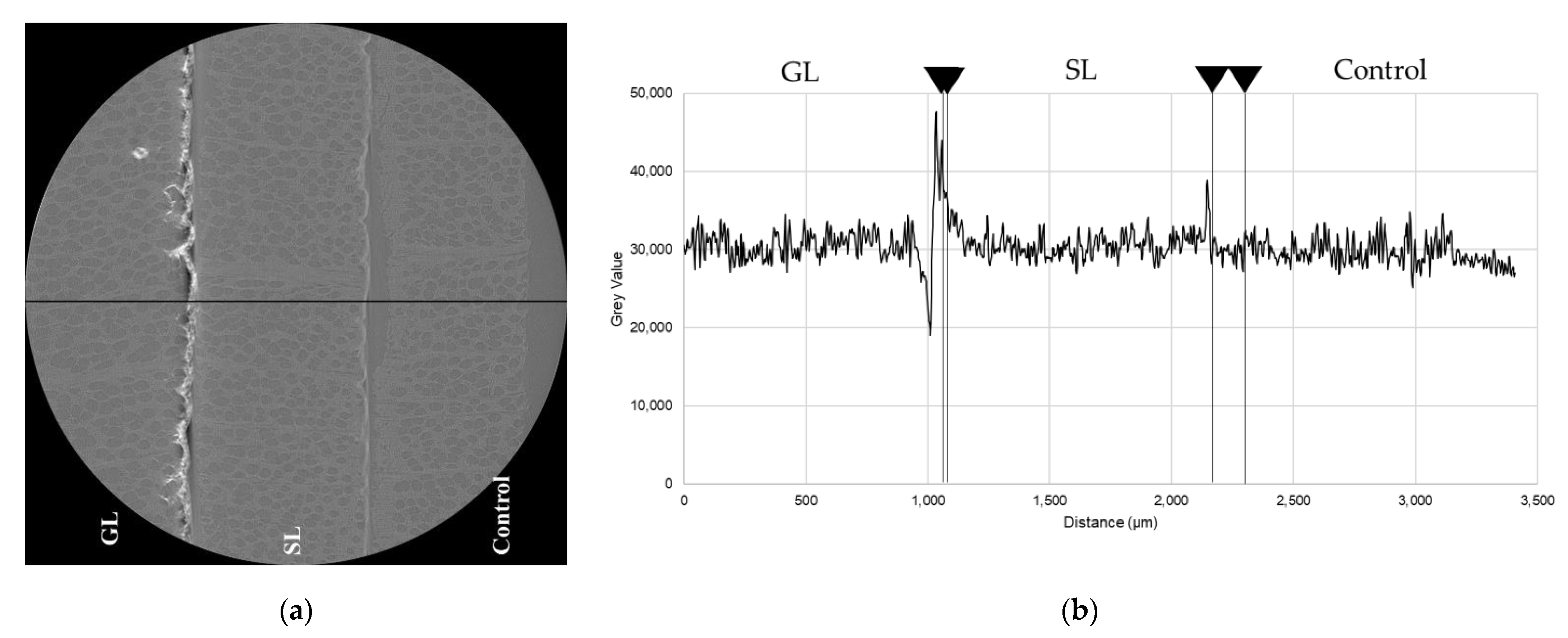 Coatings 11 00927 g009