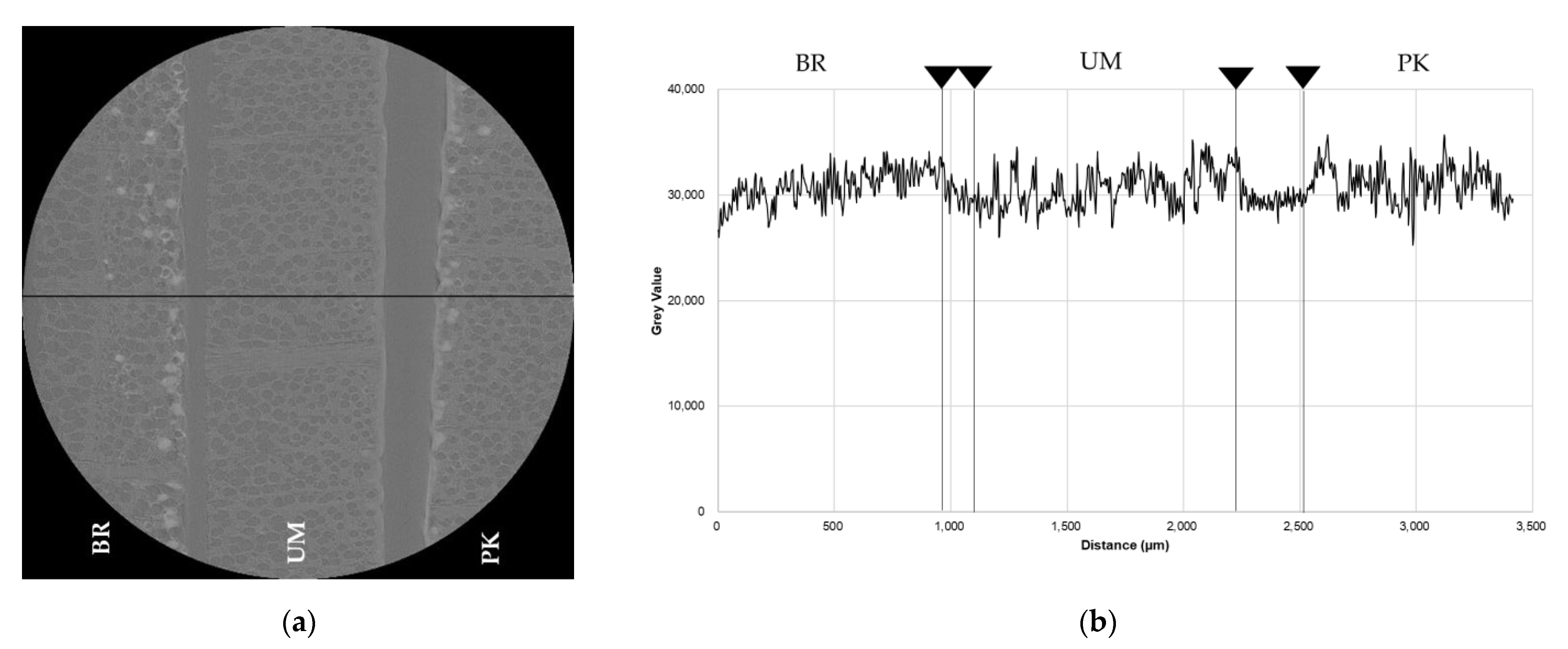 Coatings 11 00927 g010