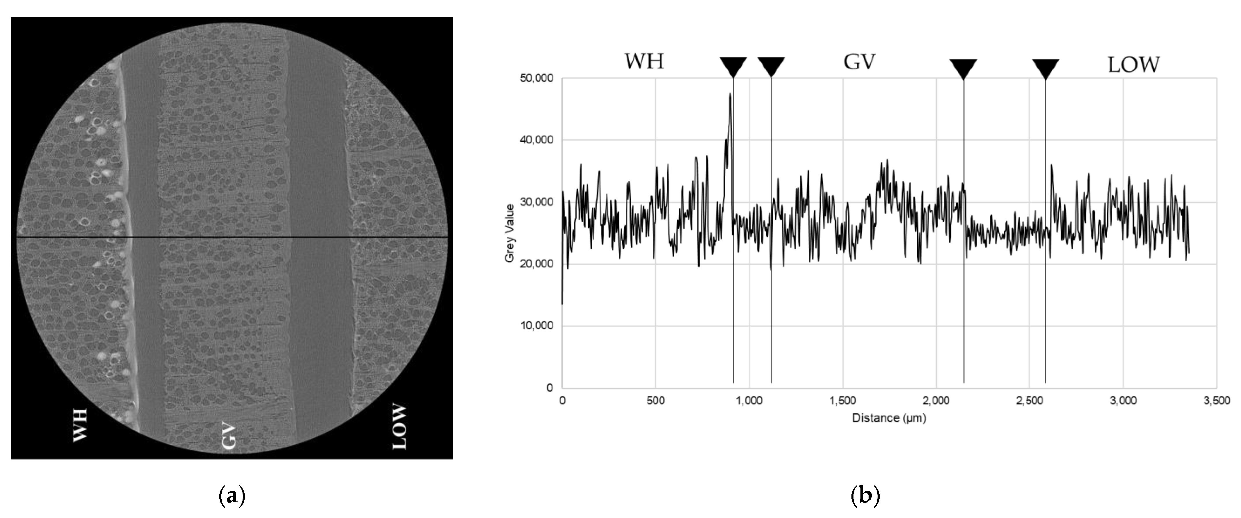 Coatings 11 00927 g011