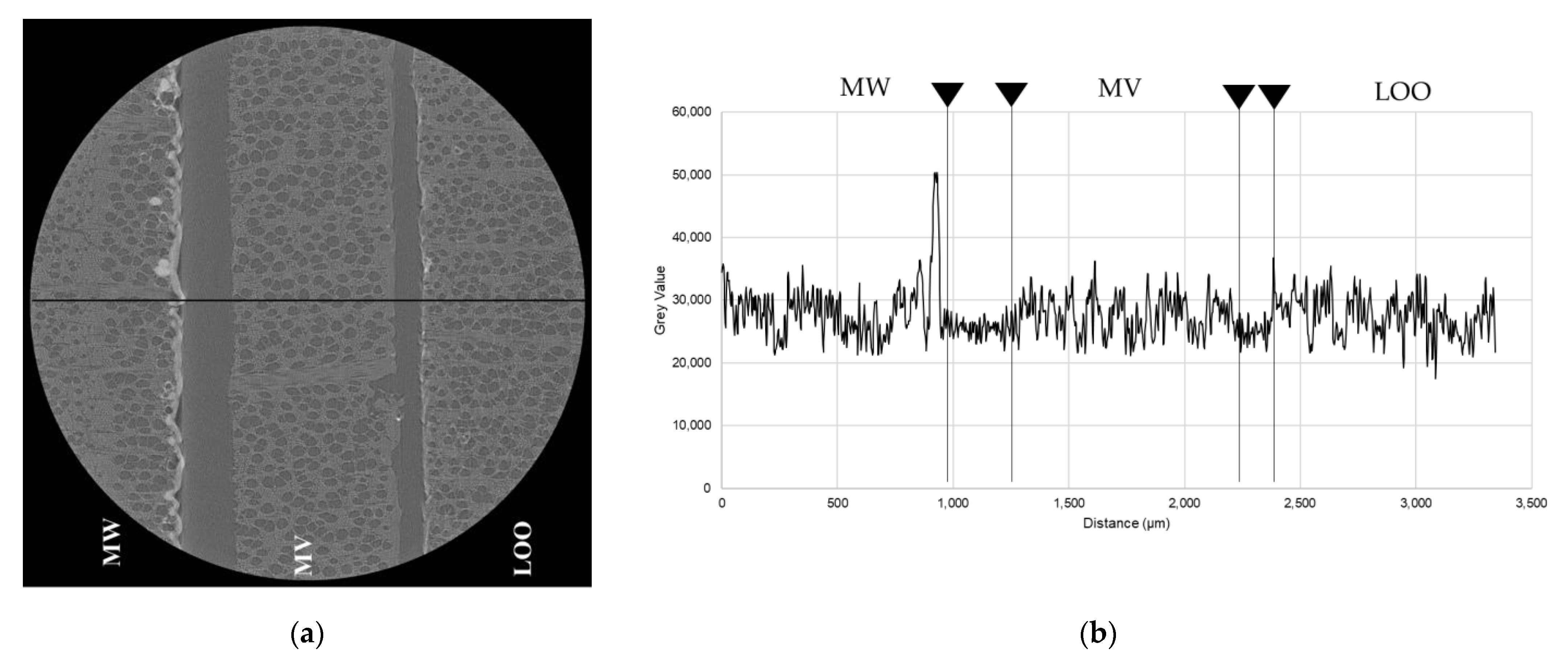 Coatings 11 00927 g012