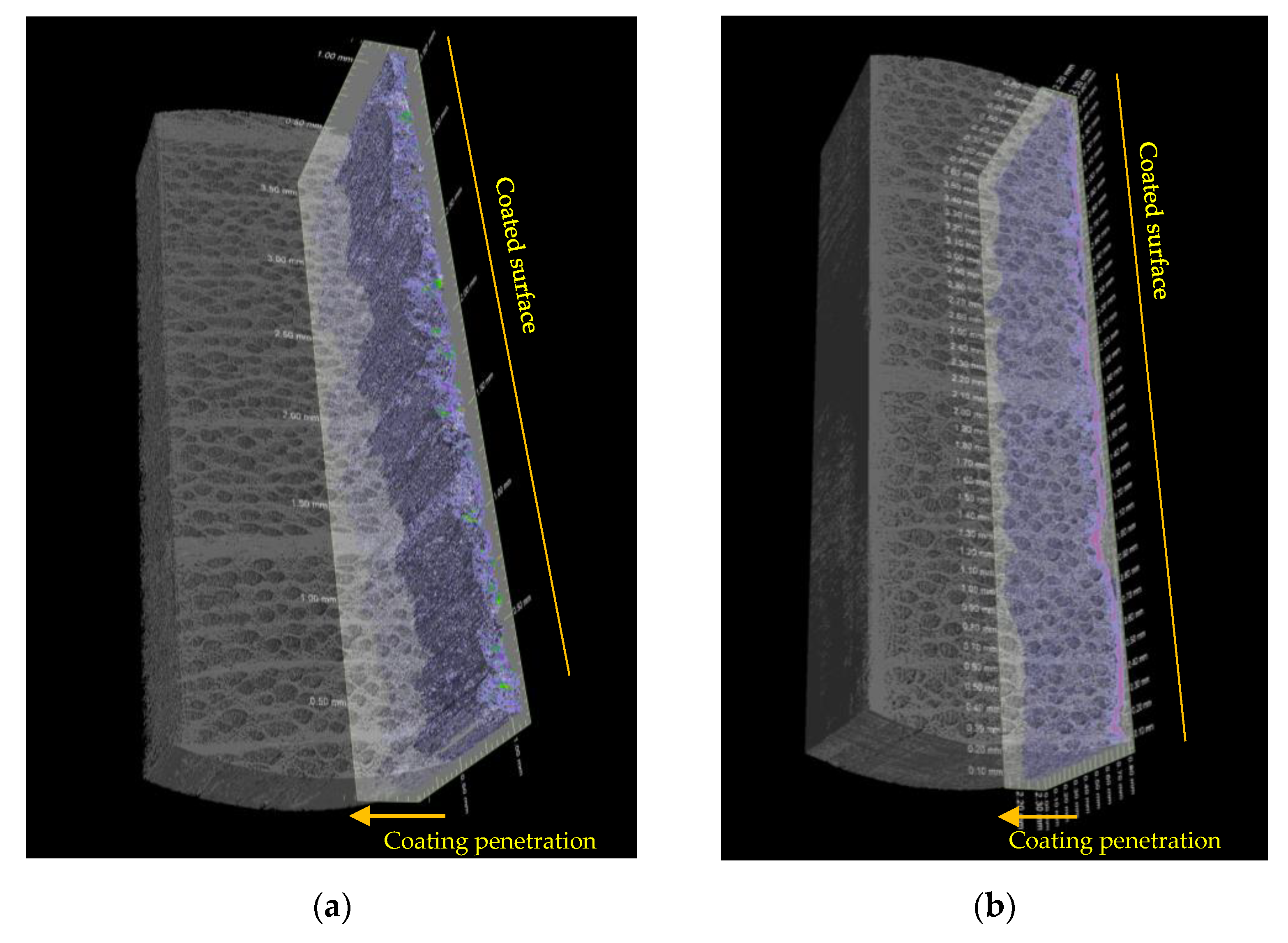 Coatings 11 00927 g014