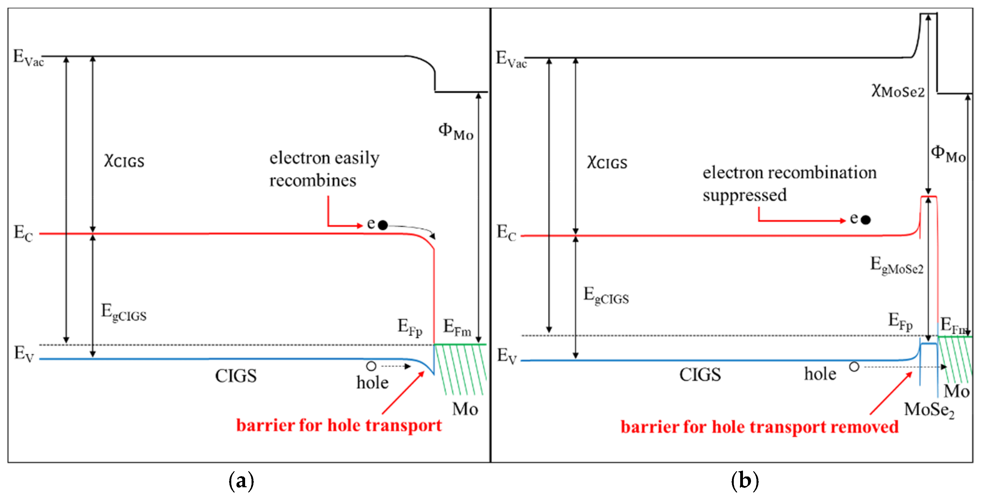 Coatings 11 00930 g003