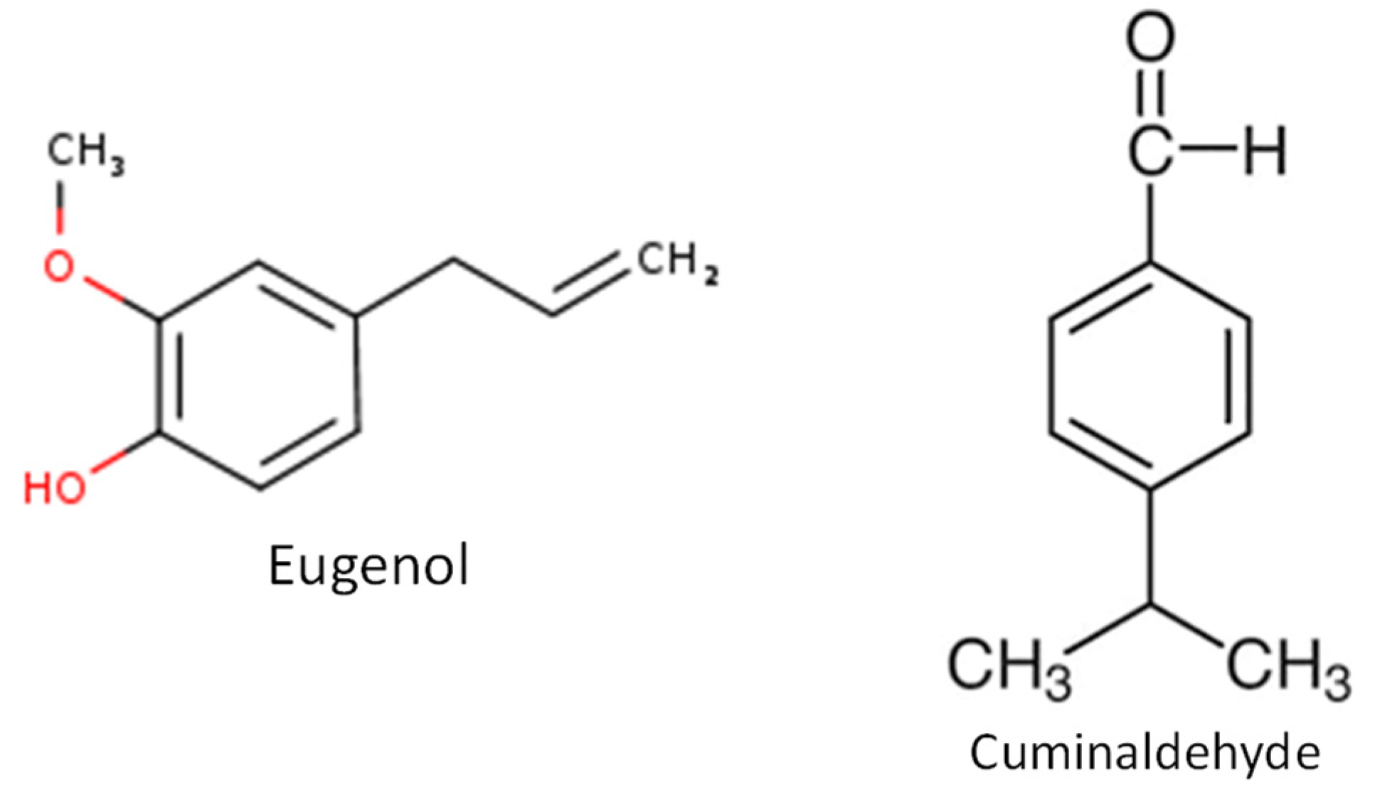 Coatings 11 00939 g001