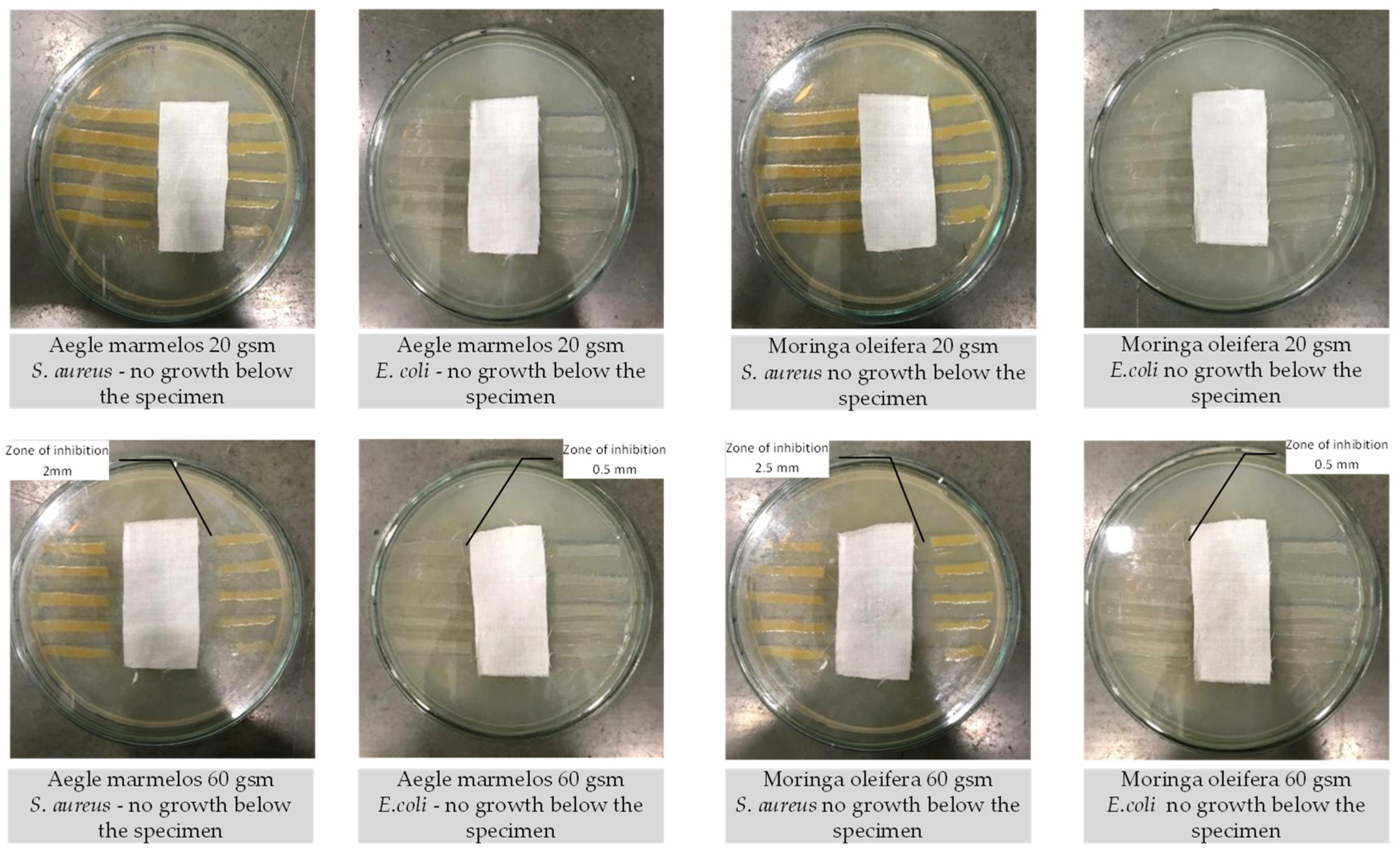Coatings 11 00939 g008
