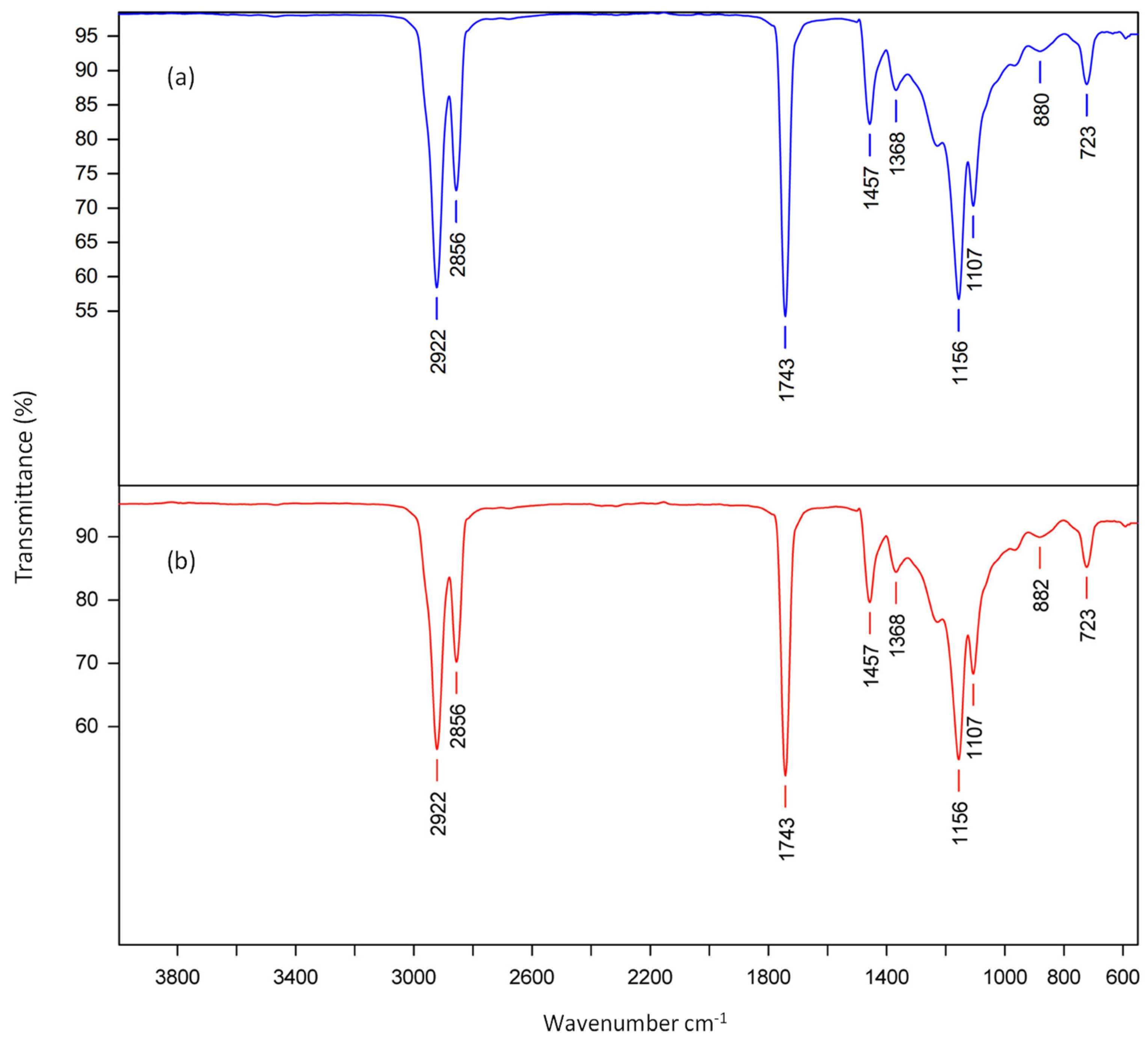 Coatings 11 00939 g011