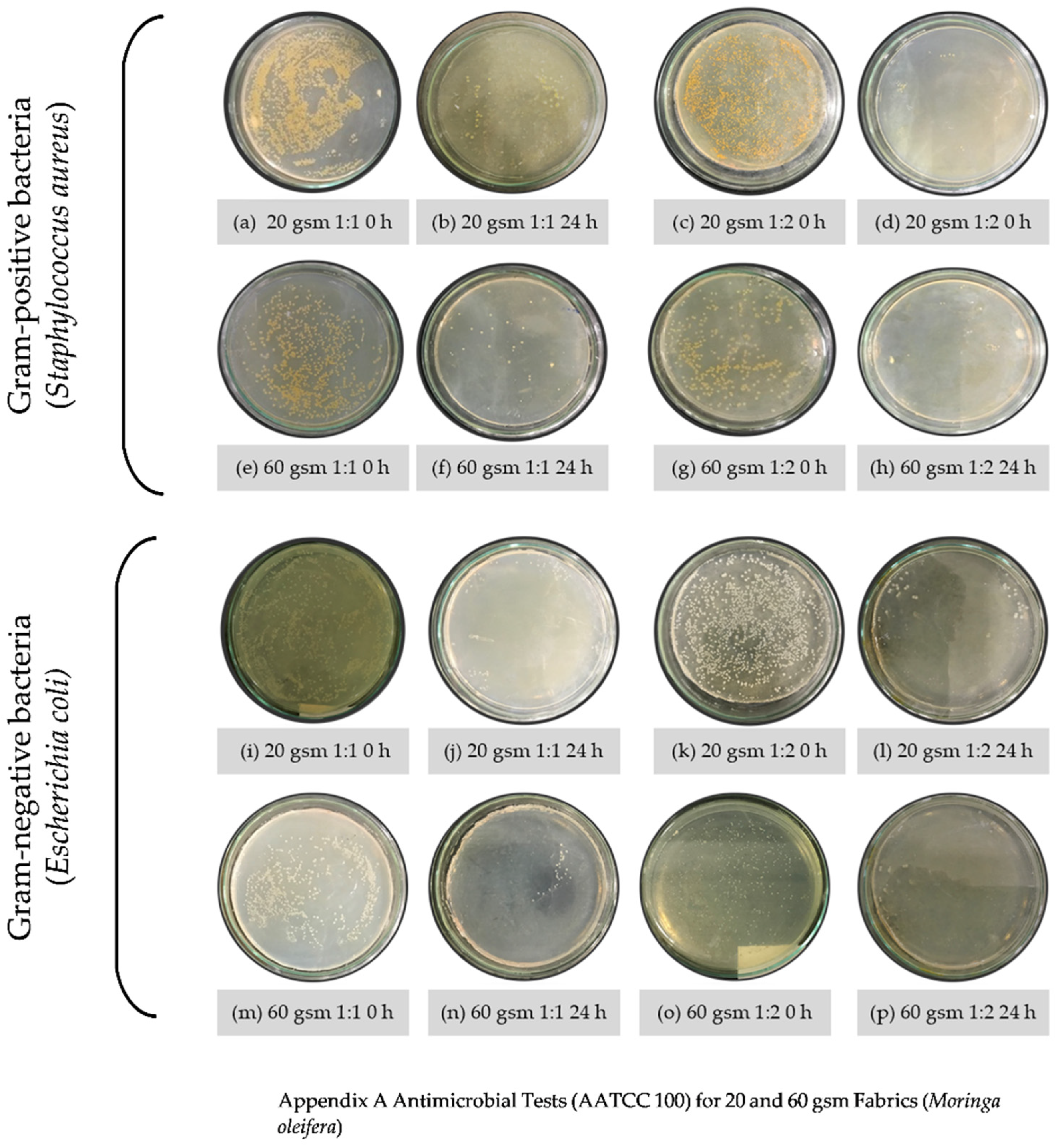 Coatings 11 00939 g0a1