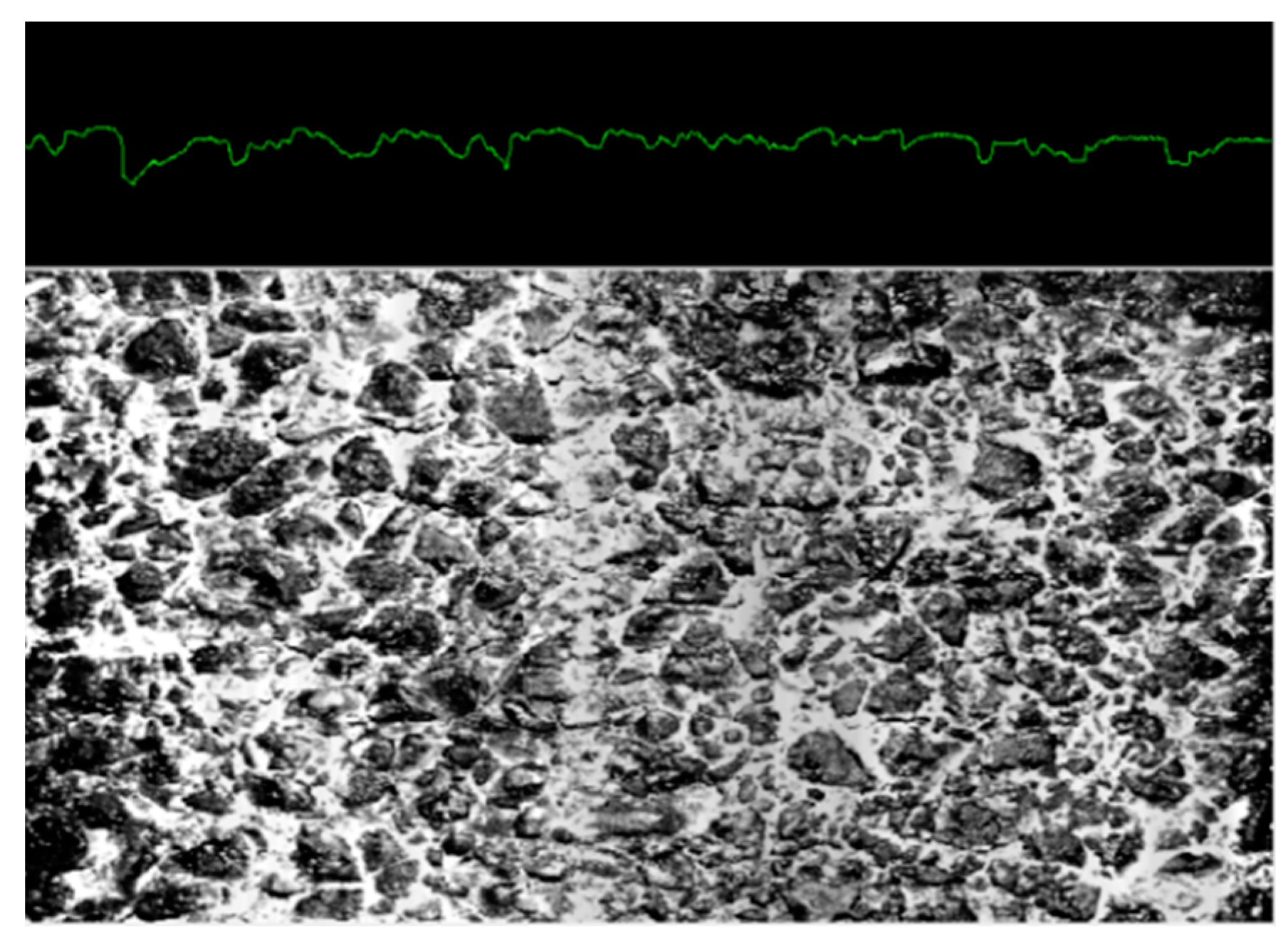 Coatings 11 00947 g002