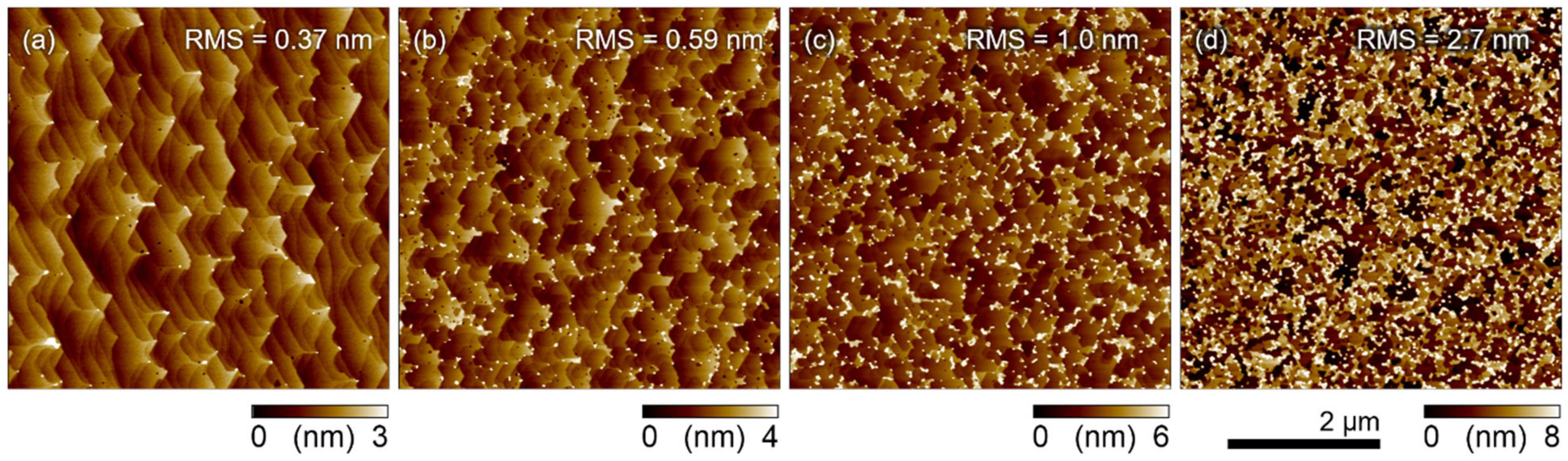 Coatings 11 00956 g008