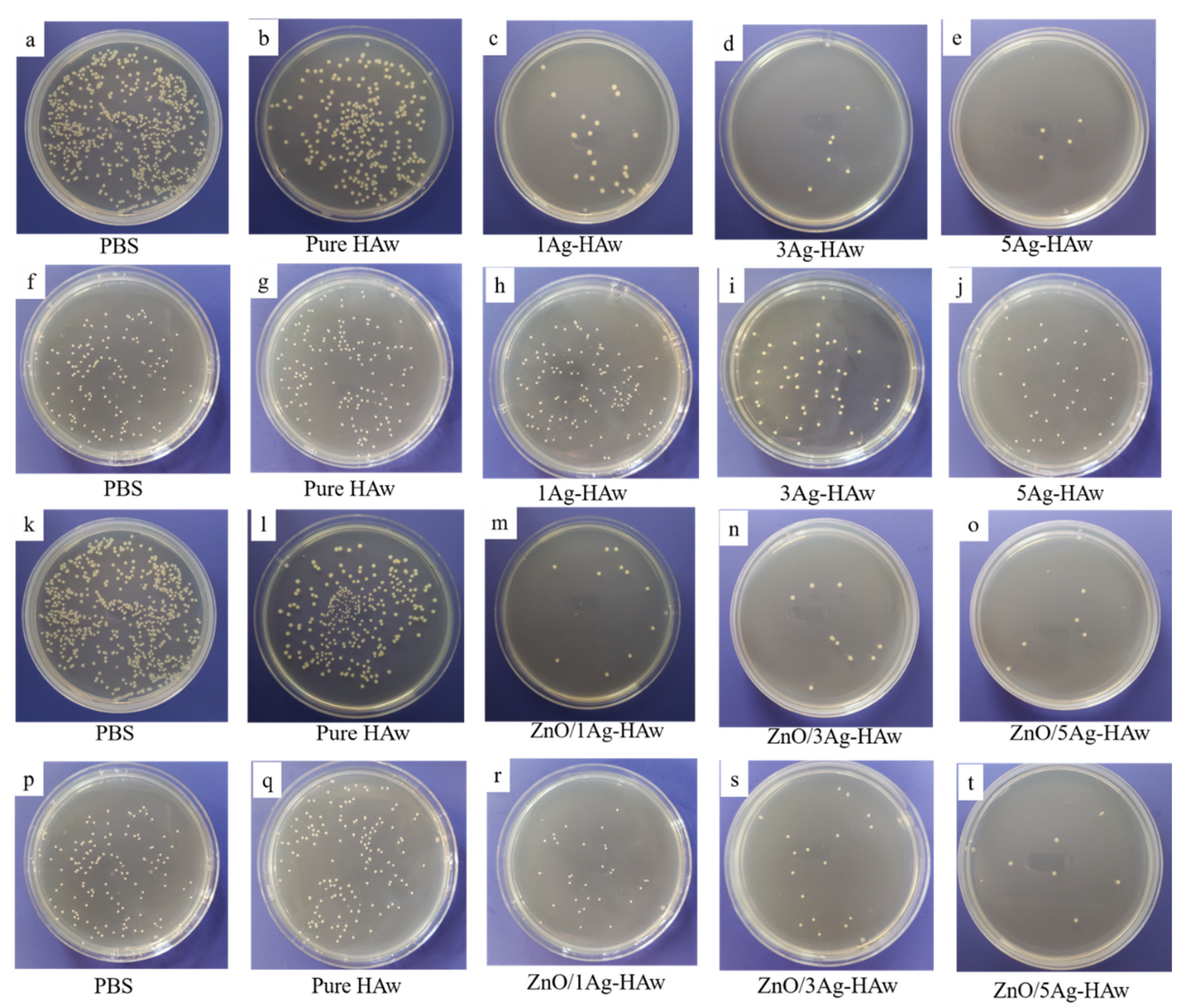 Coatings 11 00957 g005 Coatings 11 00957 g005