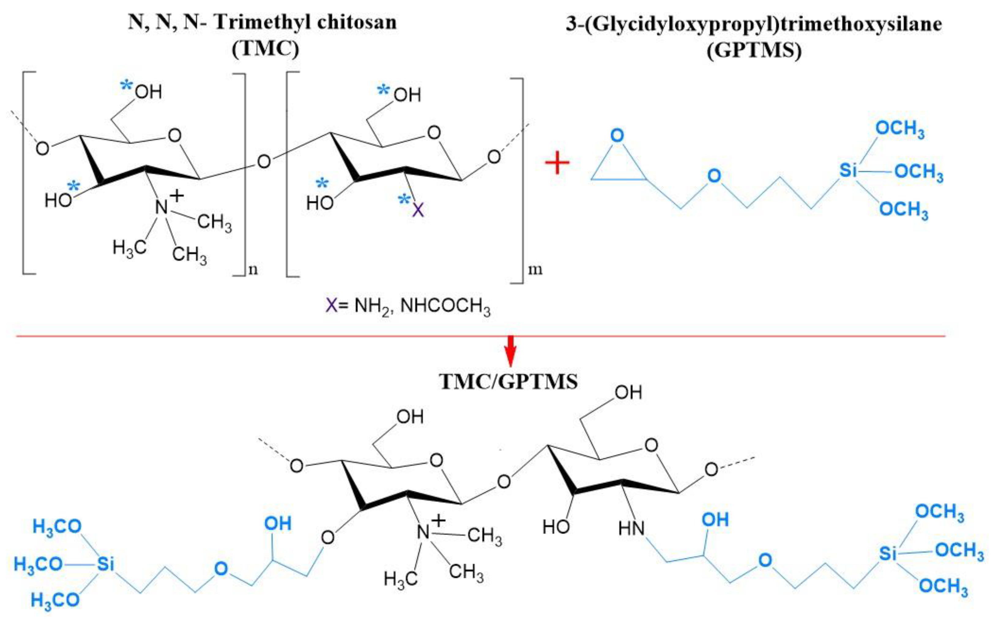 Coatings 11 00964 g002
