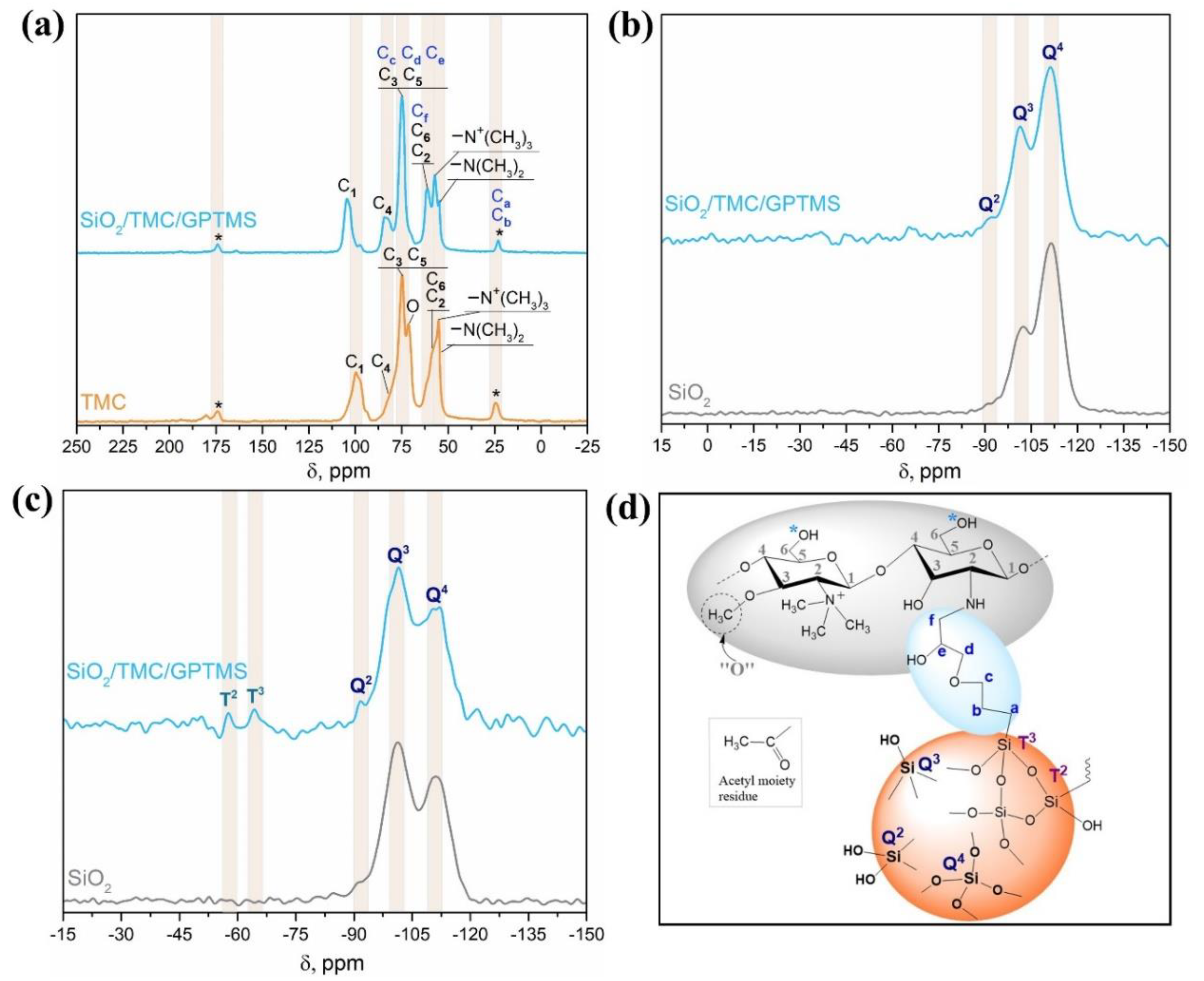 Coatings 11 00964 g003
