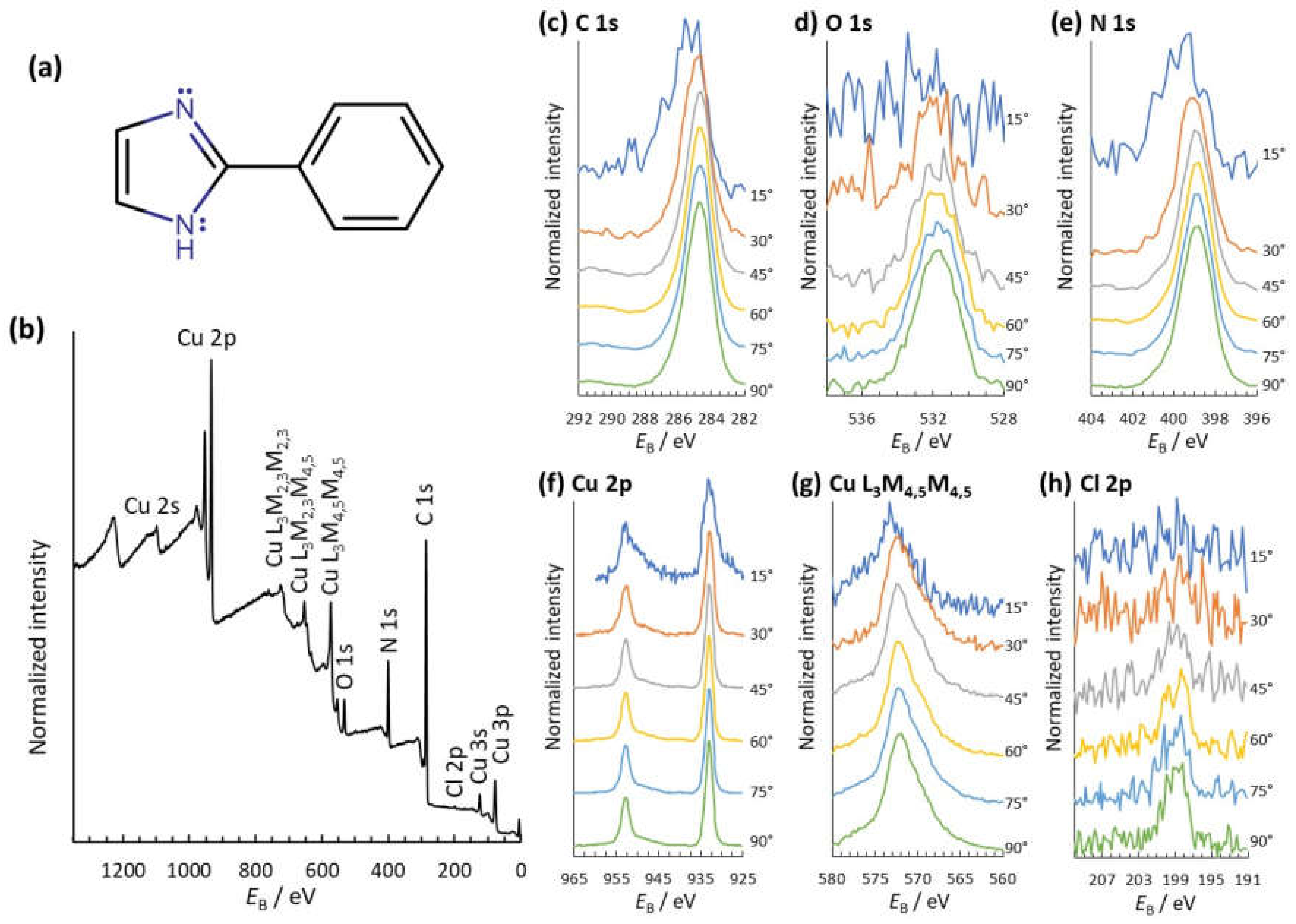 Coatings 11 00966 g001