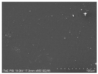 Coatings 11 00967 i001