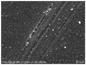 Coatings 11 00967 i004