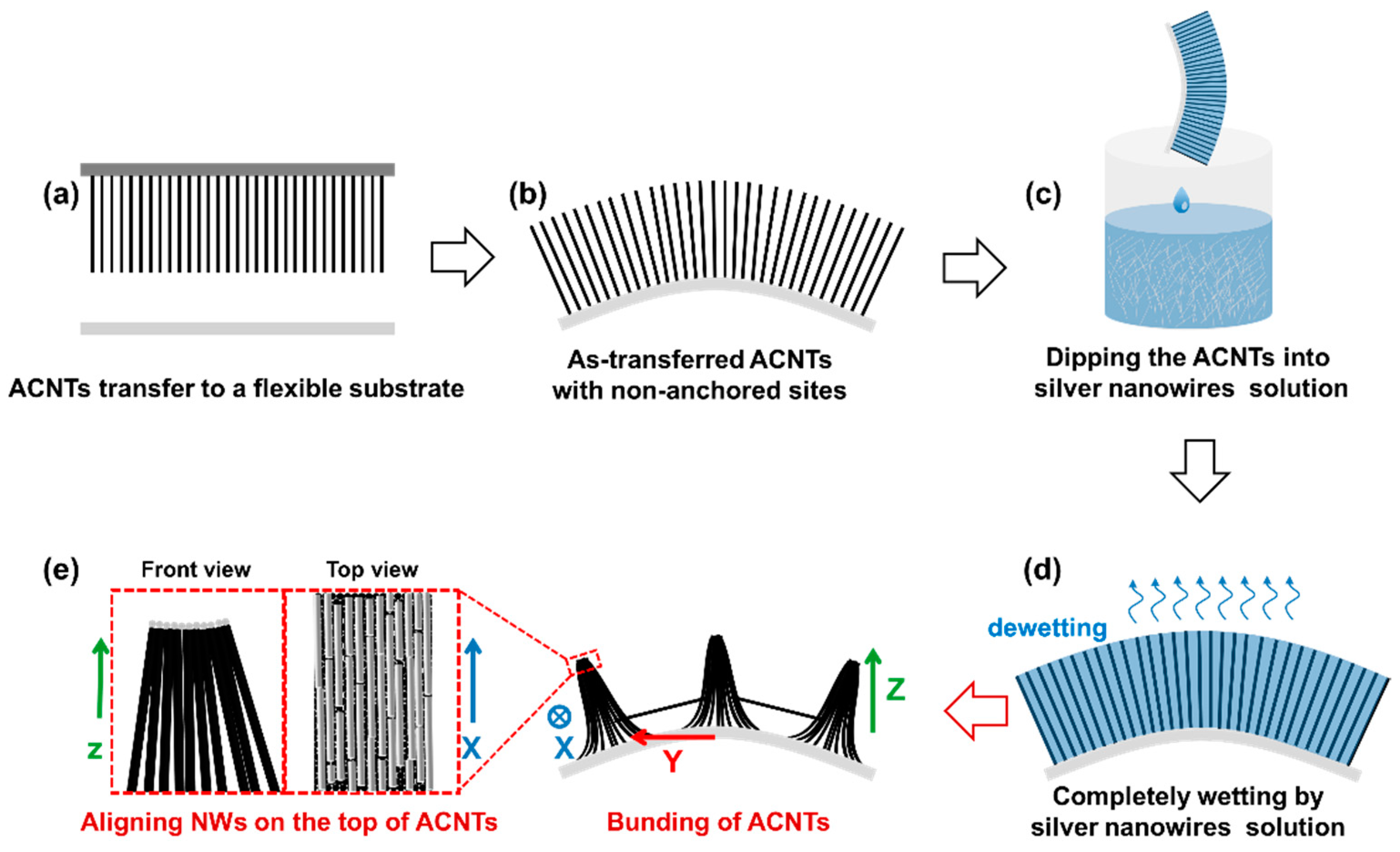 Coatings 11 00975 g001