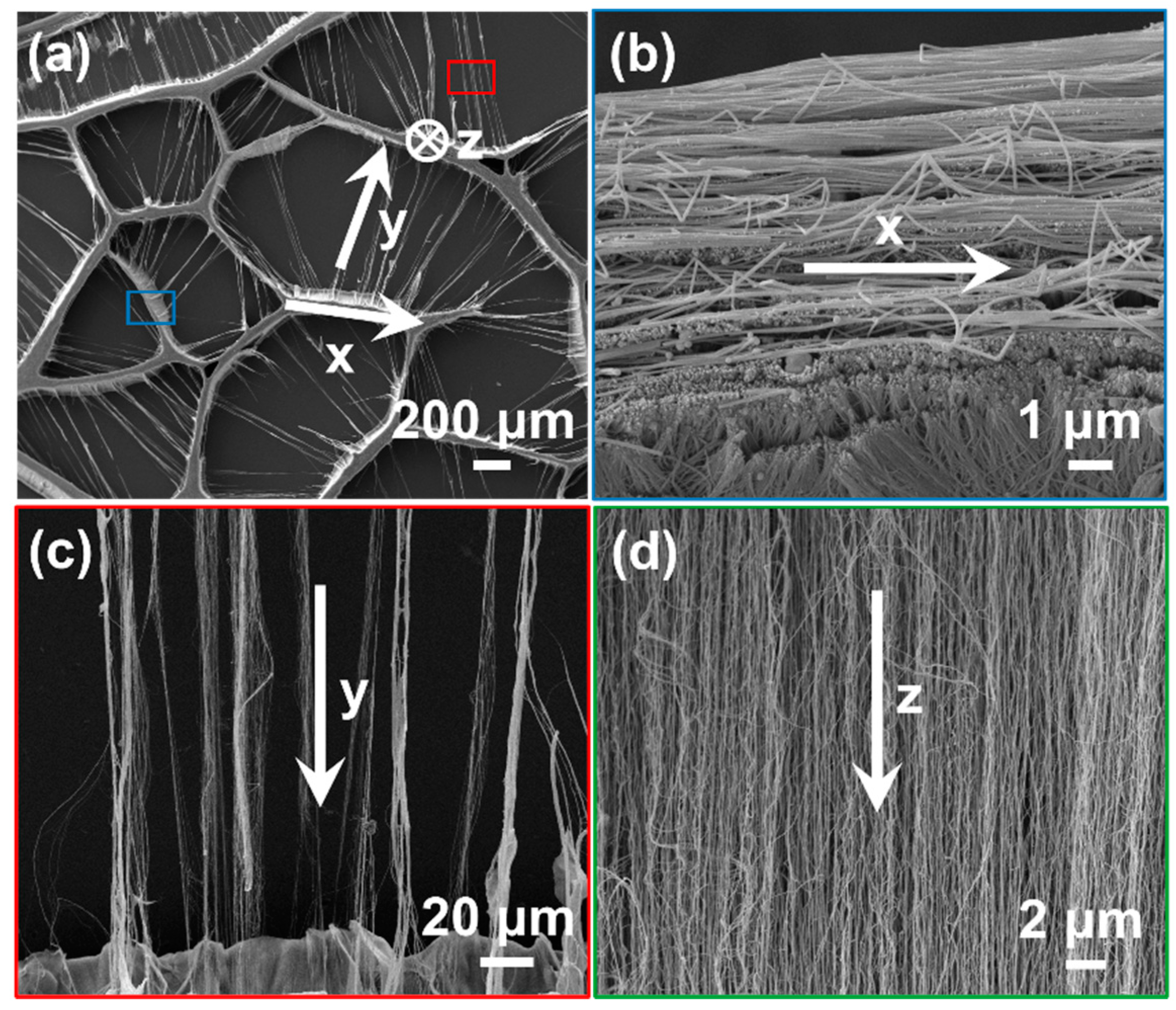 Coatings 11 00975 g002