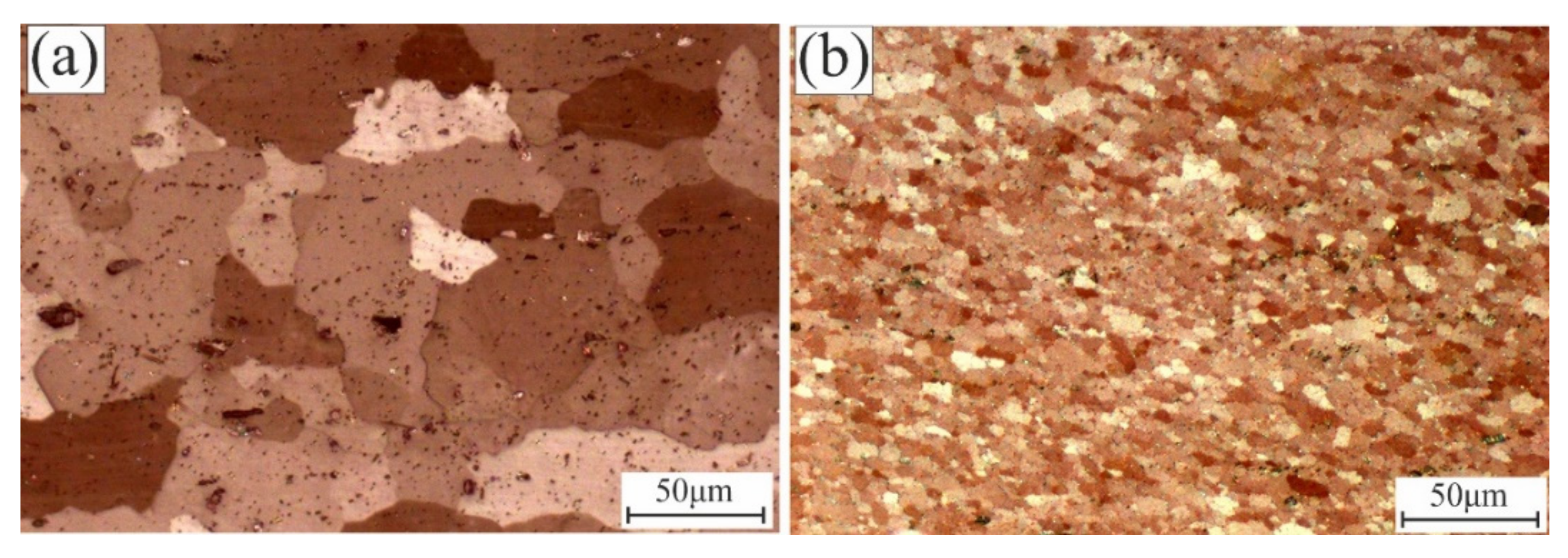 Coatings 11 00977 g003