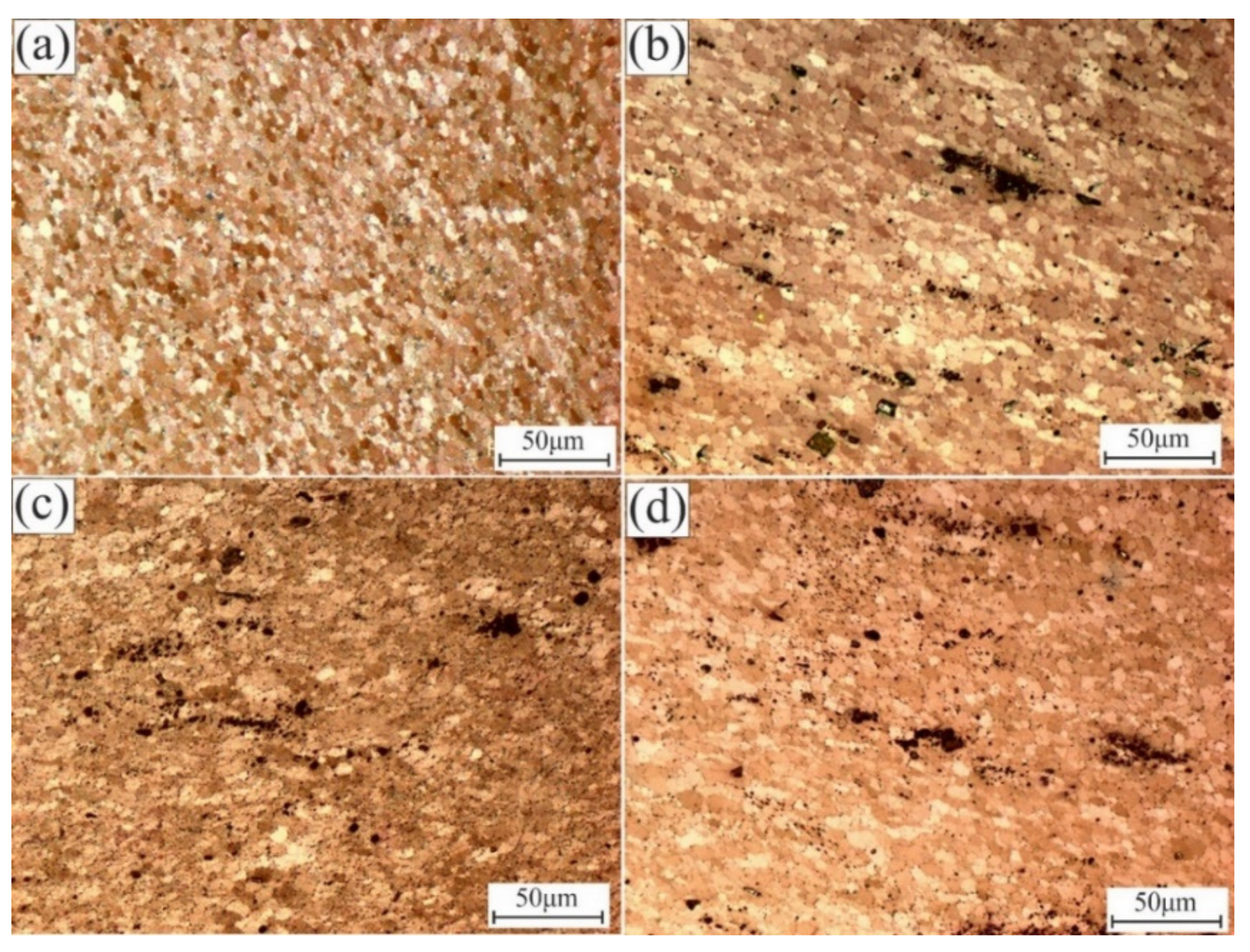 Coatings 11 00977 g005