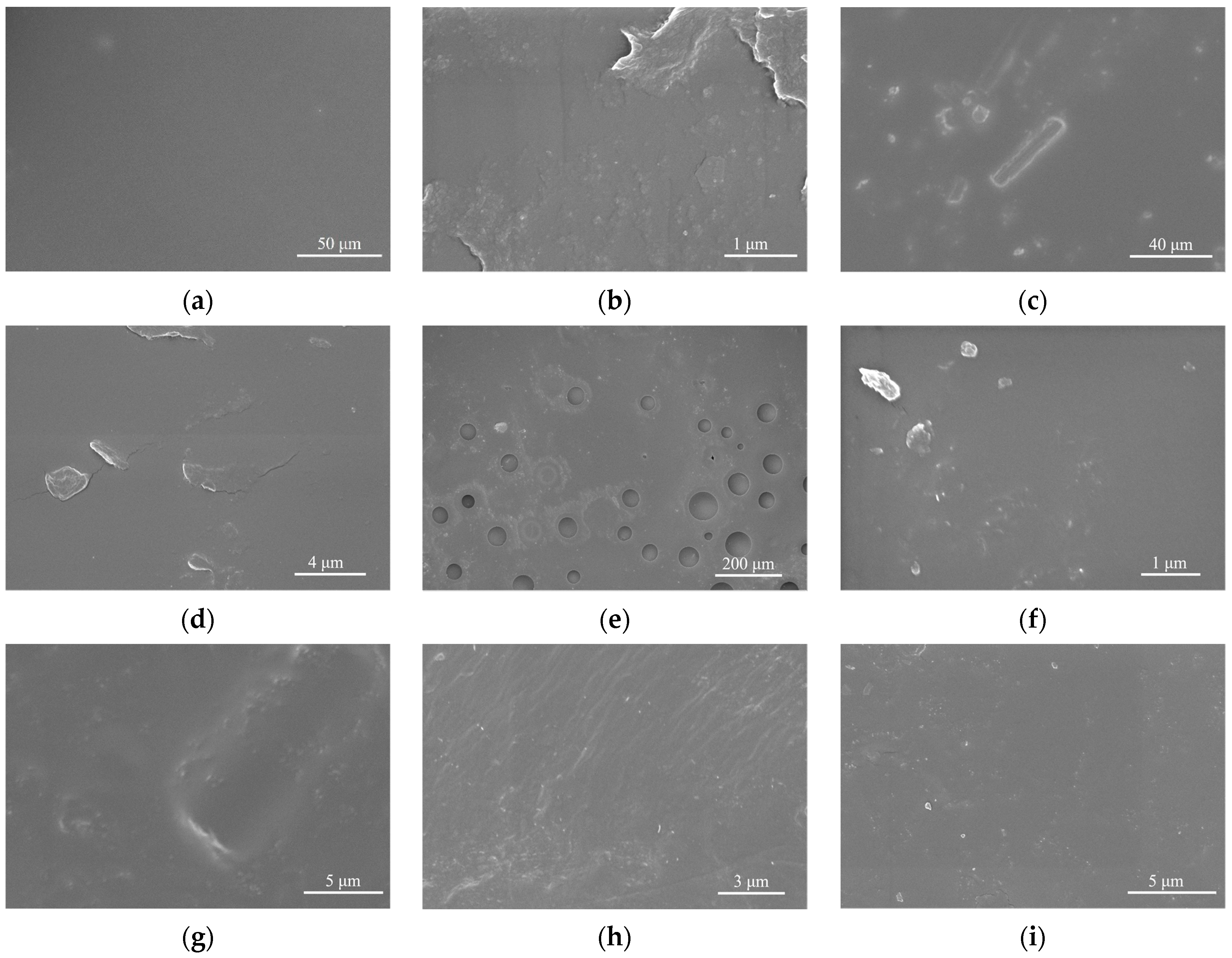 Coatings 11 00982 g004 Coatings 11 00982 g004