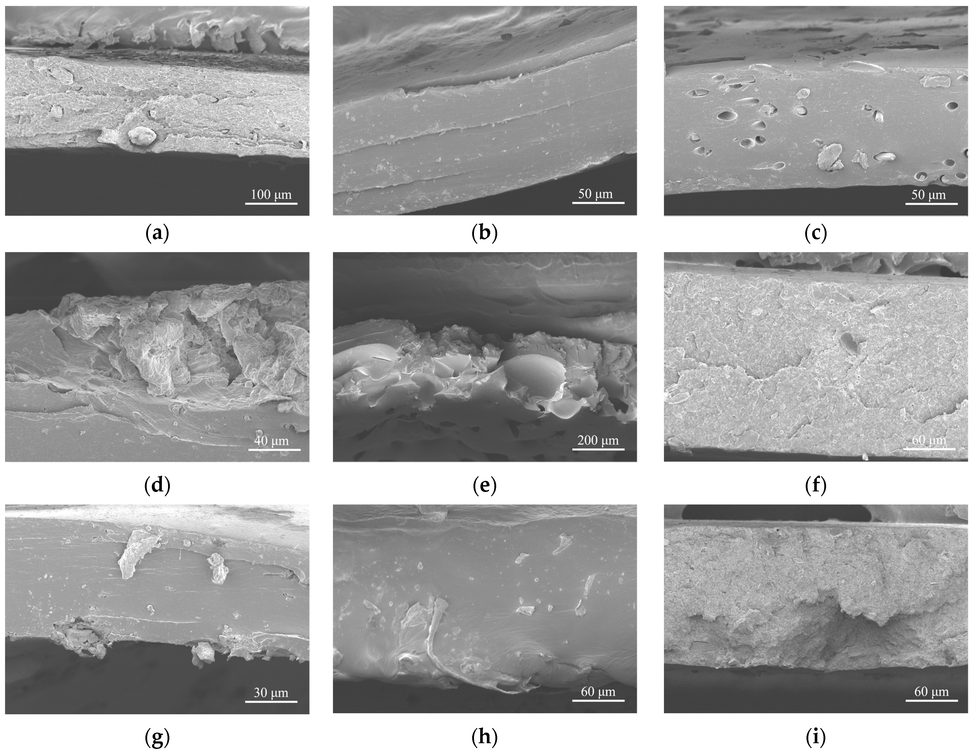 Coatings 11 00982 g006 Coatings 11 00982 g006