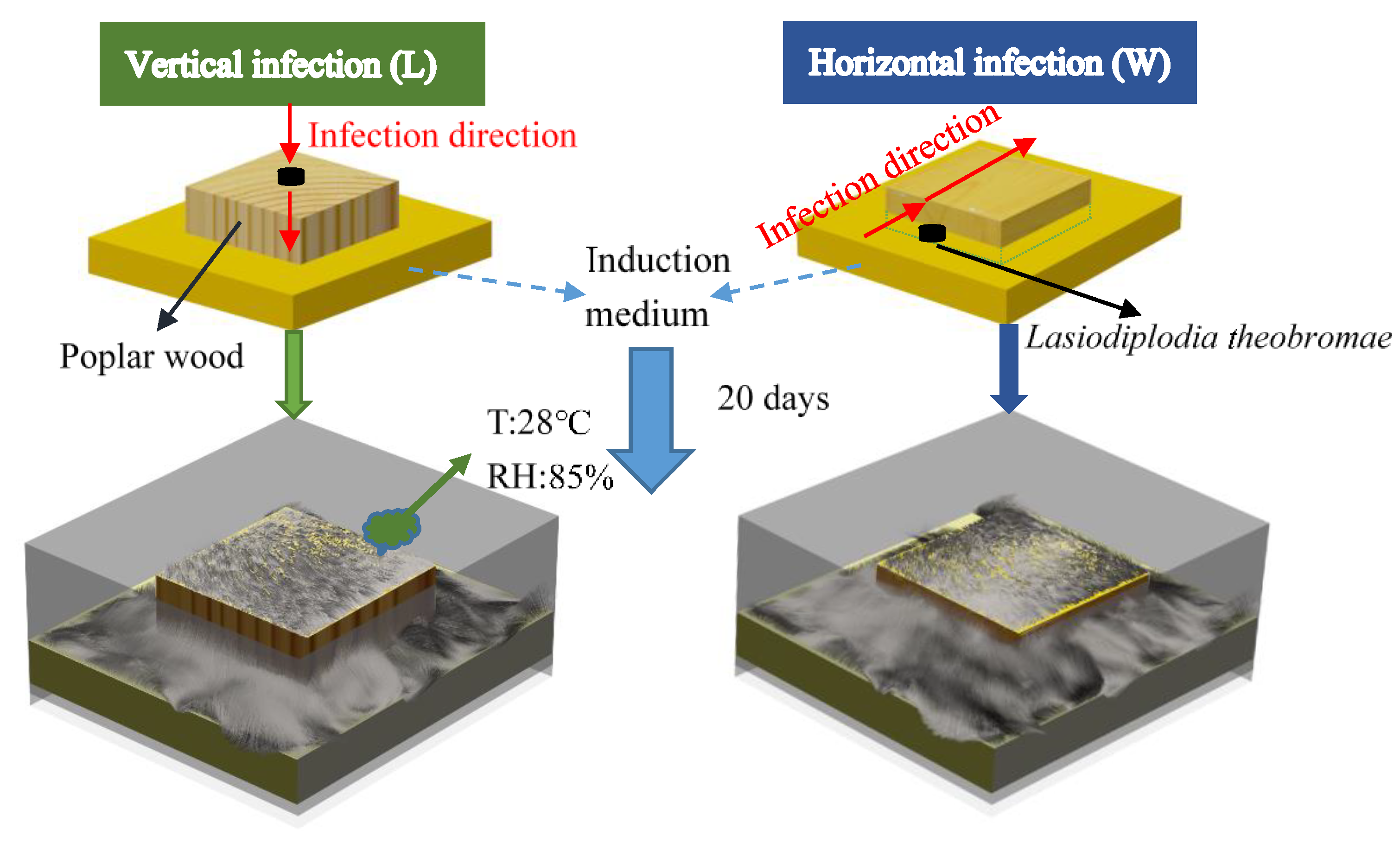 Coatings 11 00985 g001