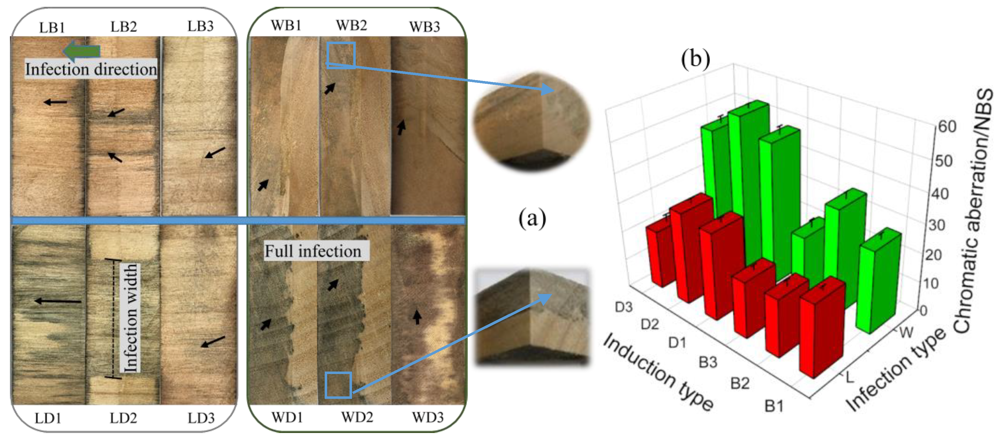 Coatings 11 00985 g002