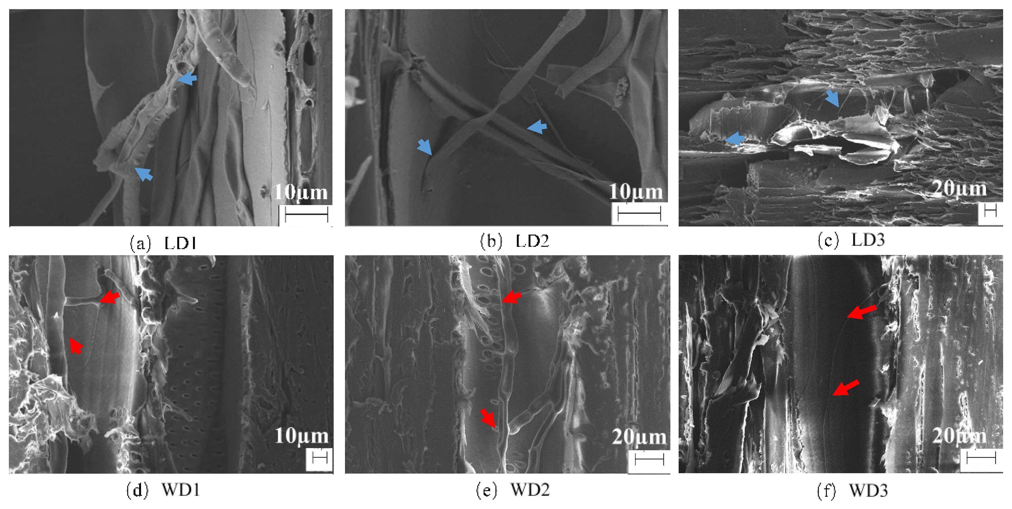 Coatings 11 00985 g004