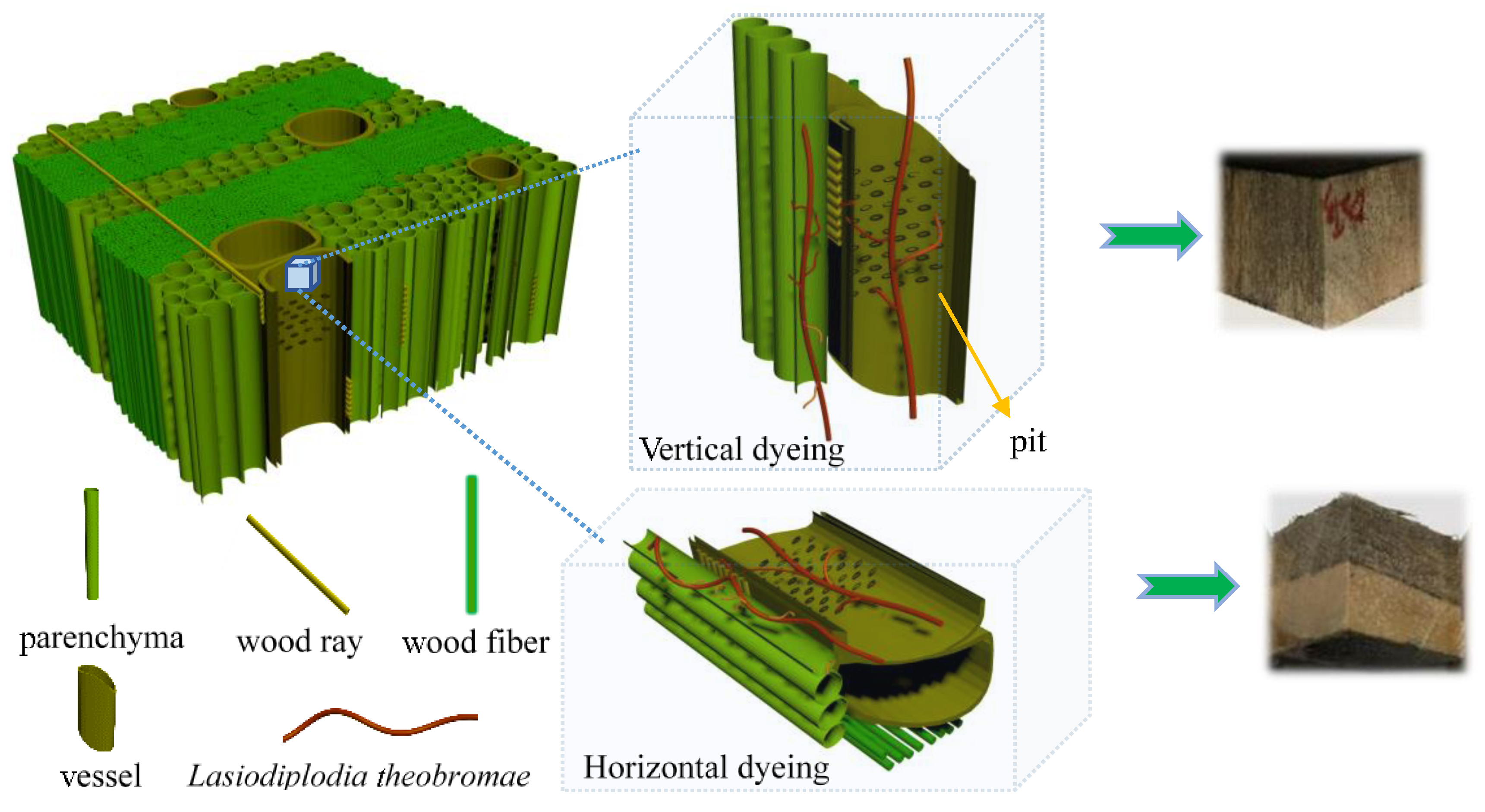 Coatings 11 00985 g005