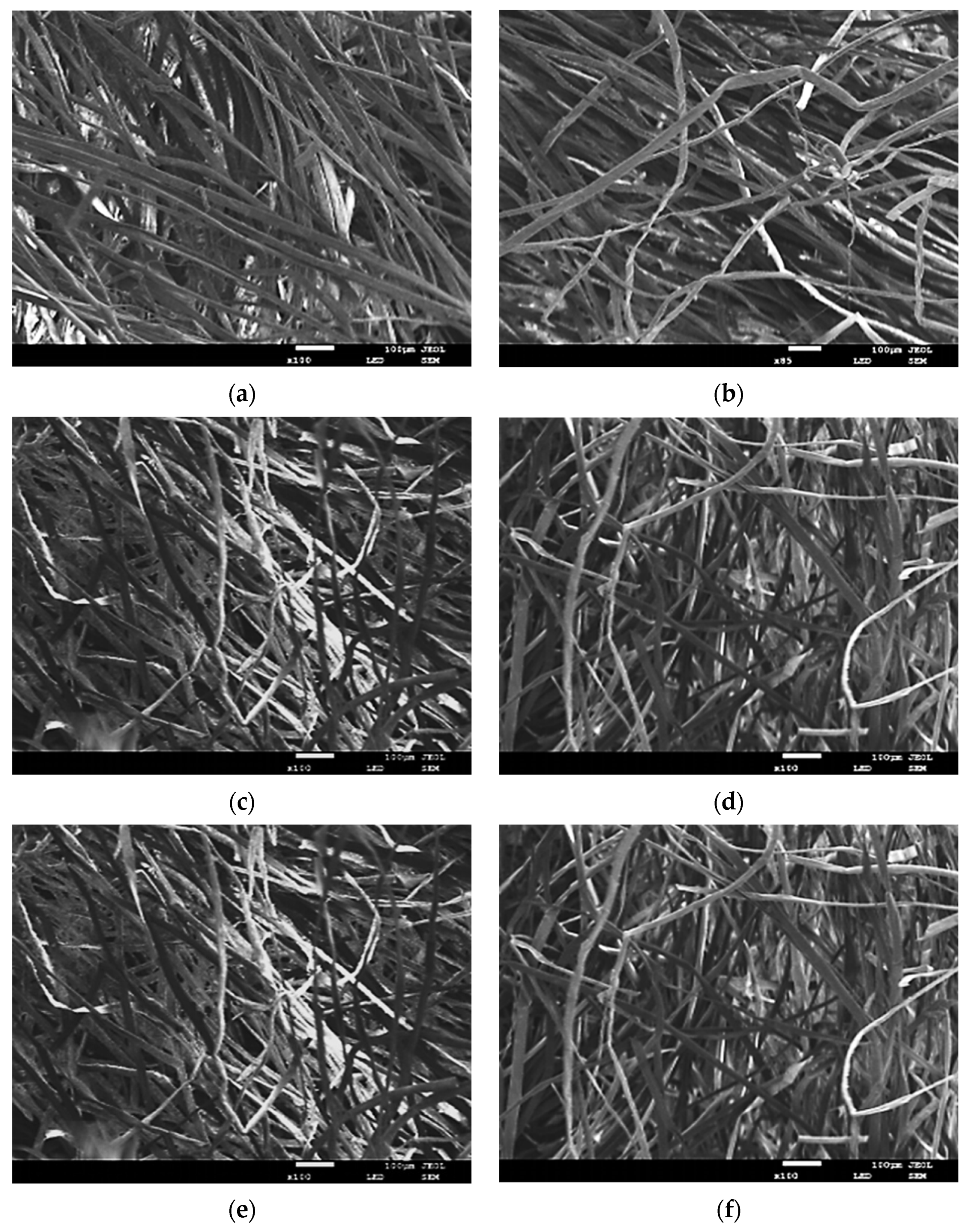 Coatings 11 01000 g007