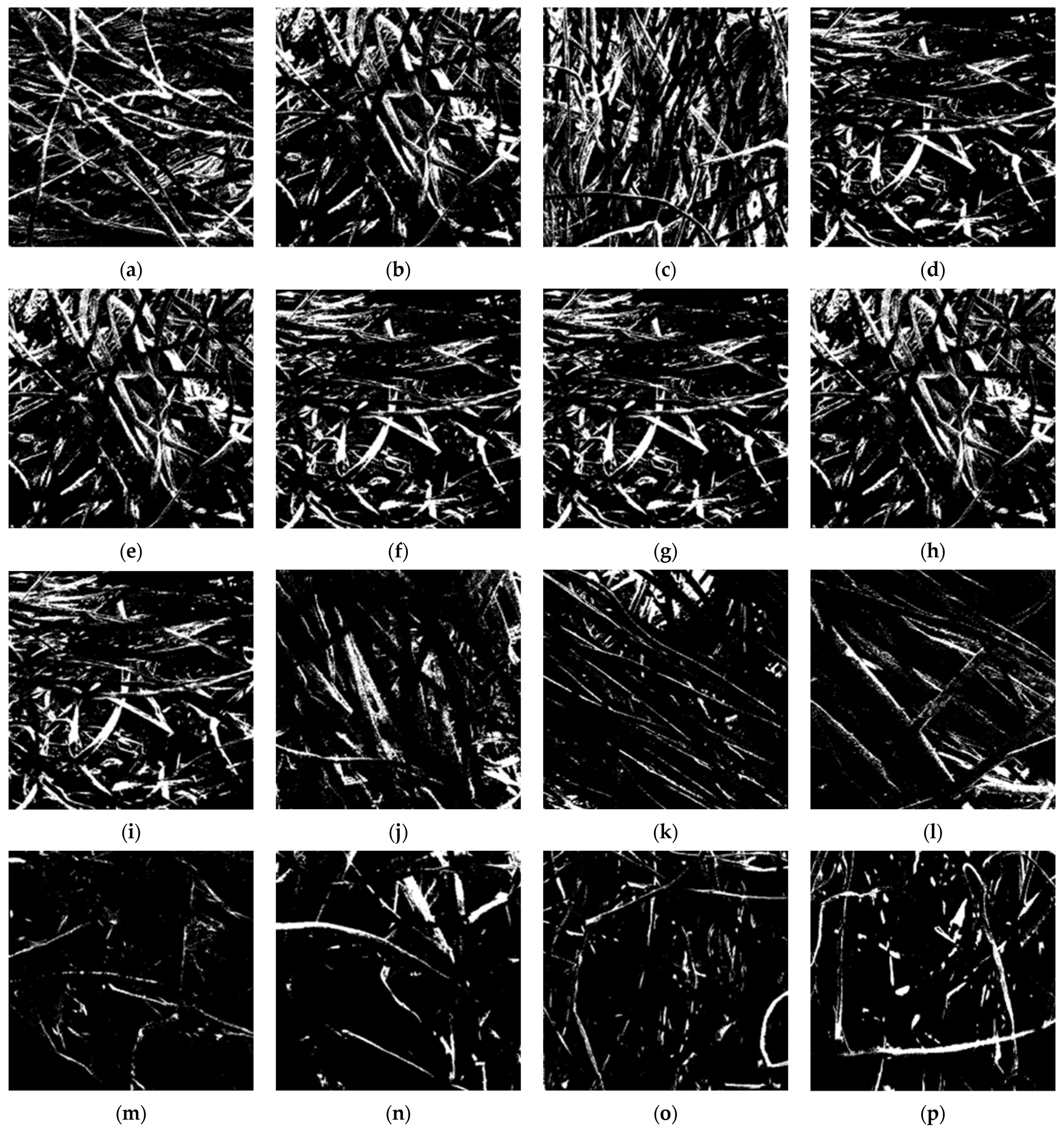 Coatings 11 01000 g0a1