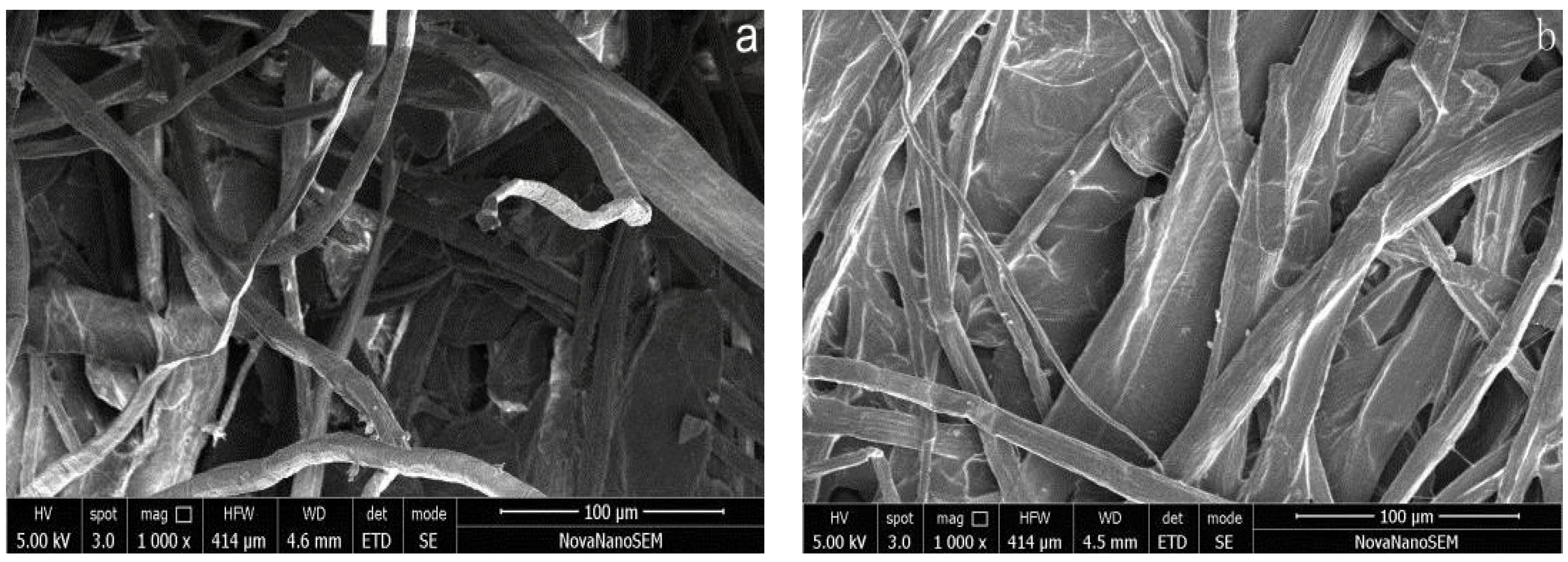 Coatings 11 01005 g012 Coatings 11 01005 g012