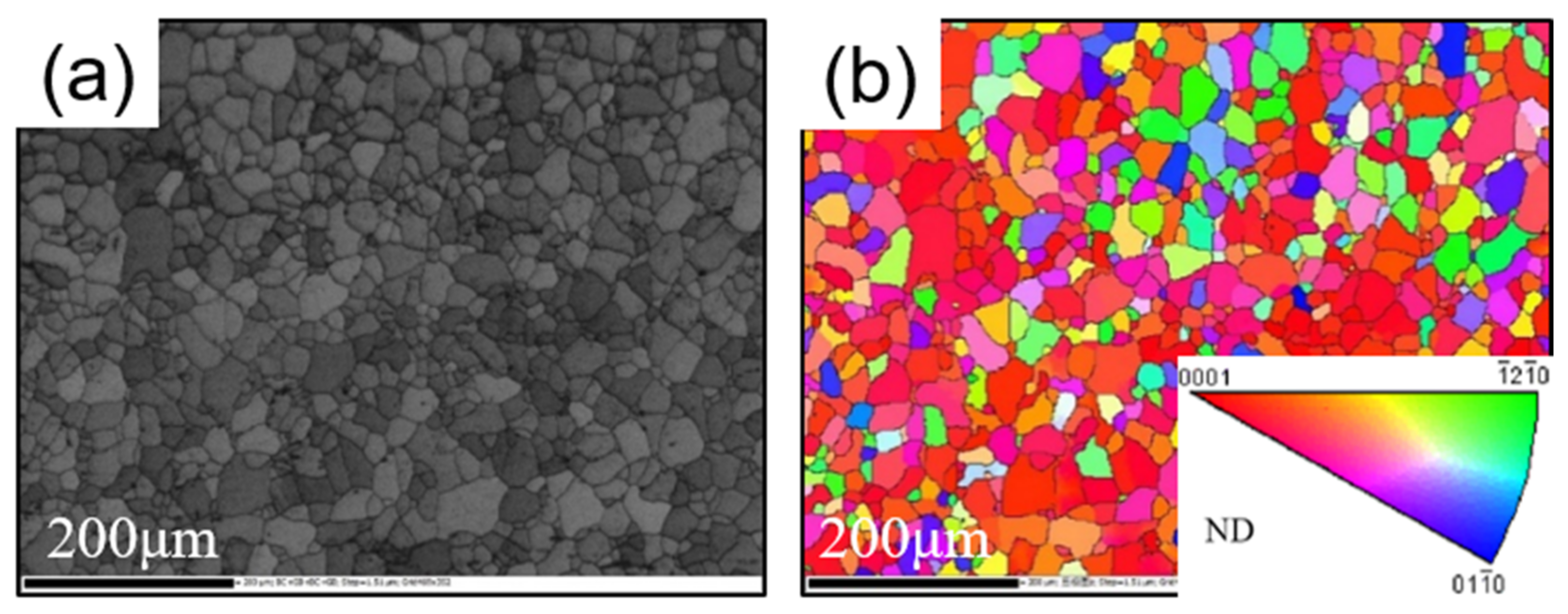 Coatings 11 01011 g002
