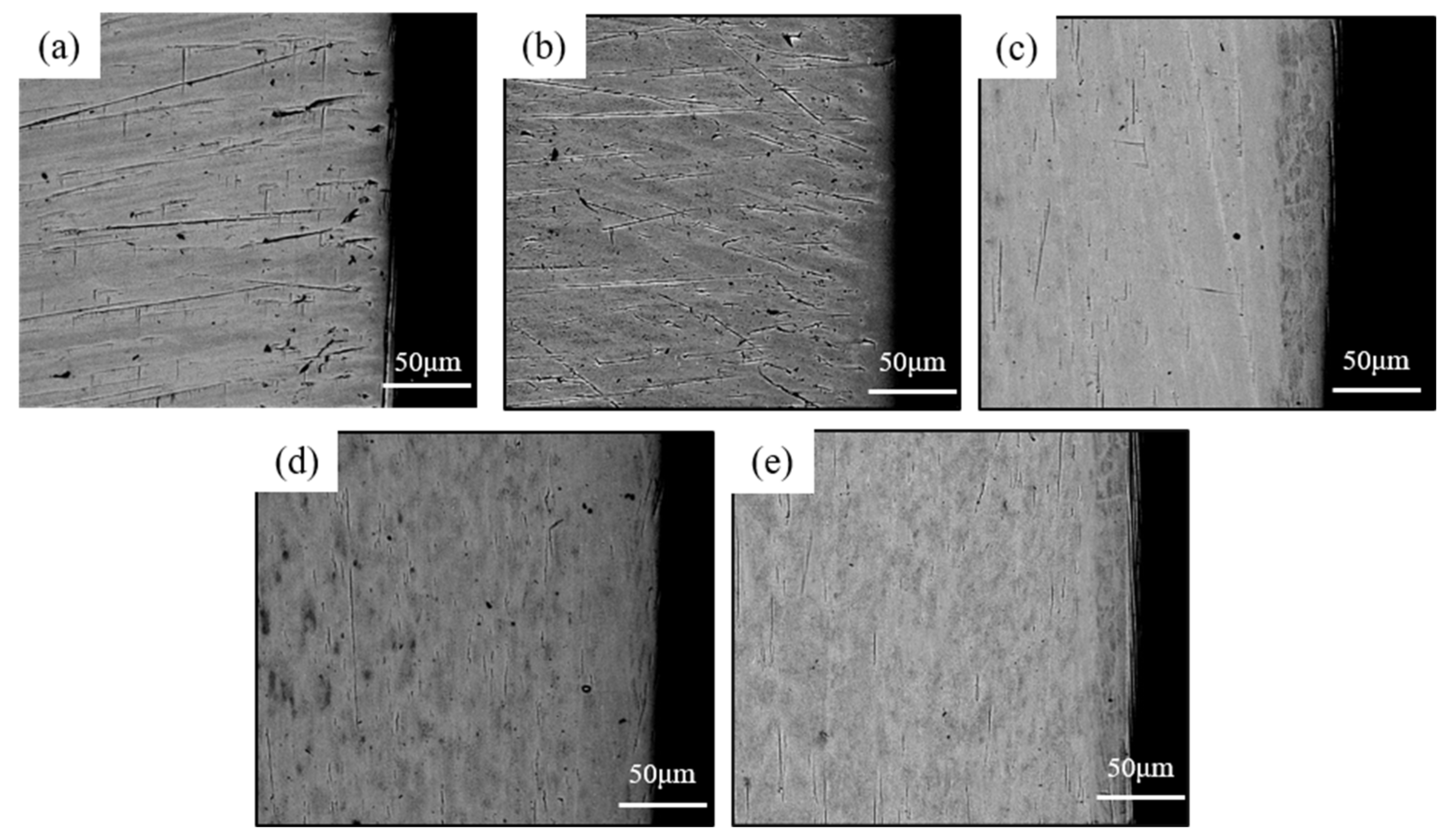 Coatings 11 01011 g010