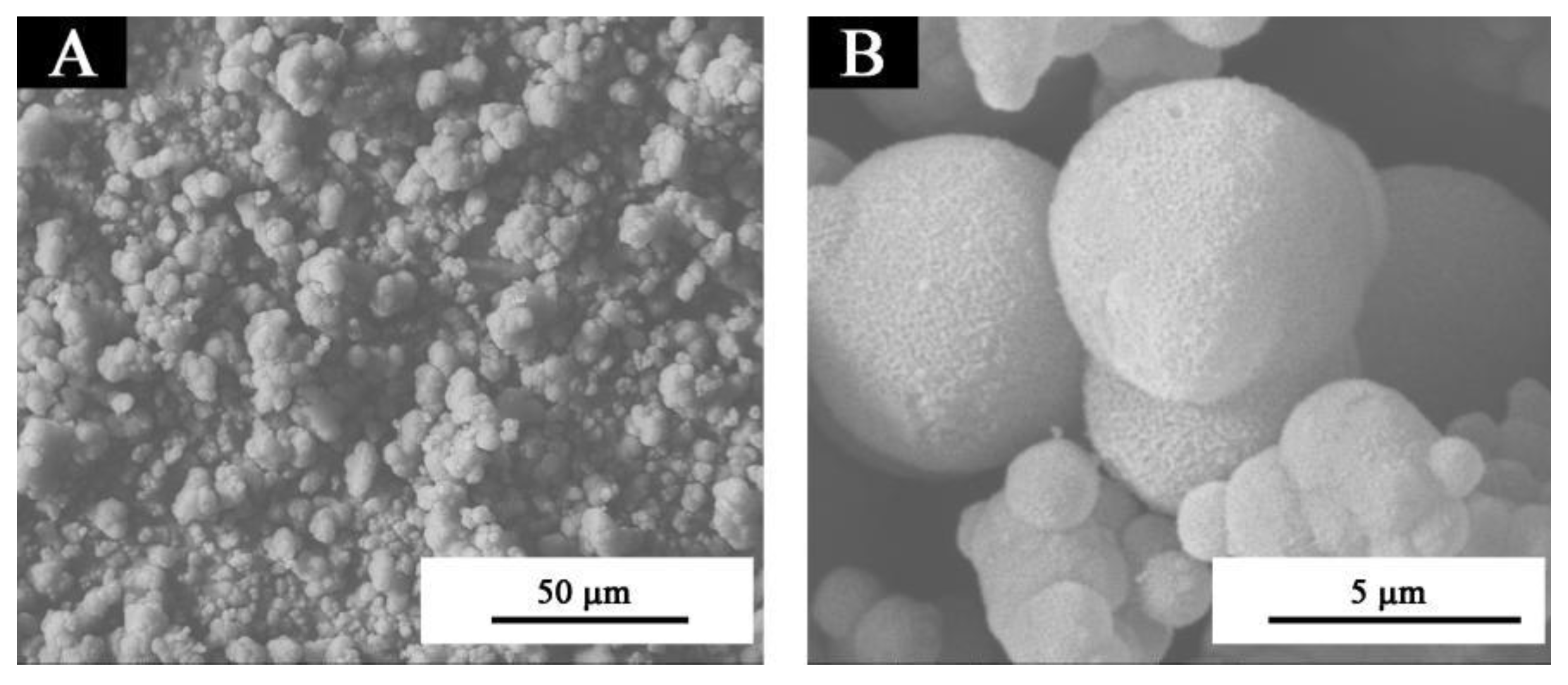 Coatings 11 01013 g004