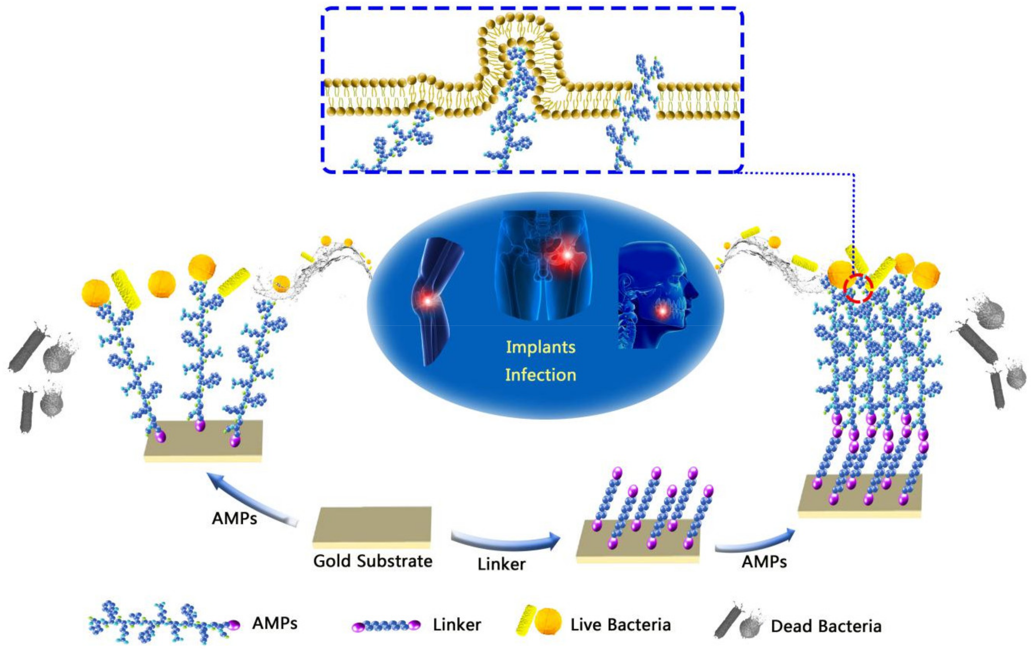 Coatings 11 01014 g001