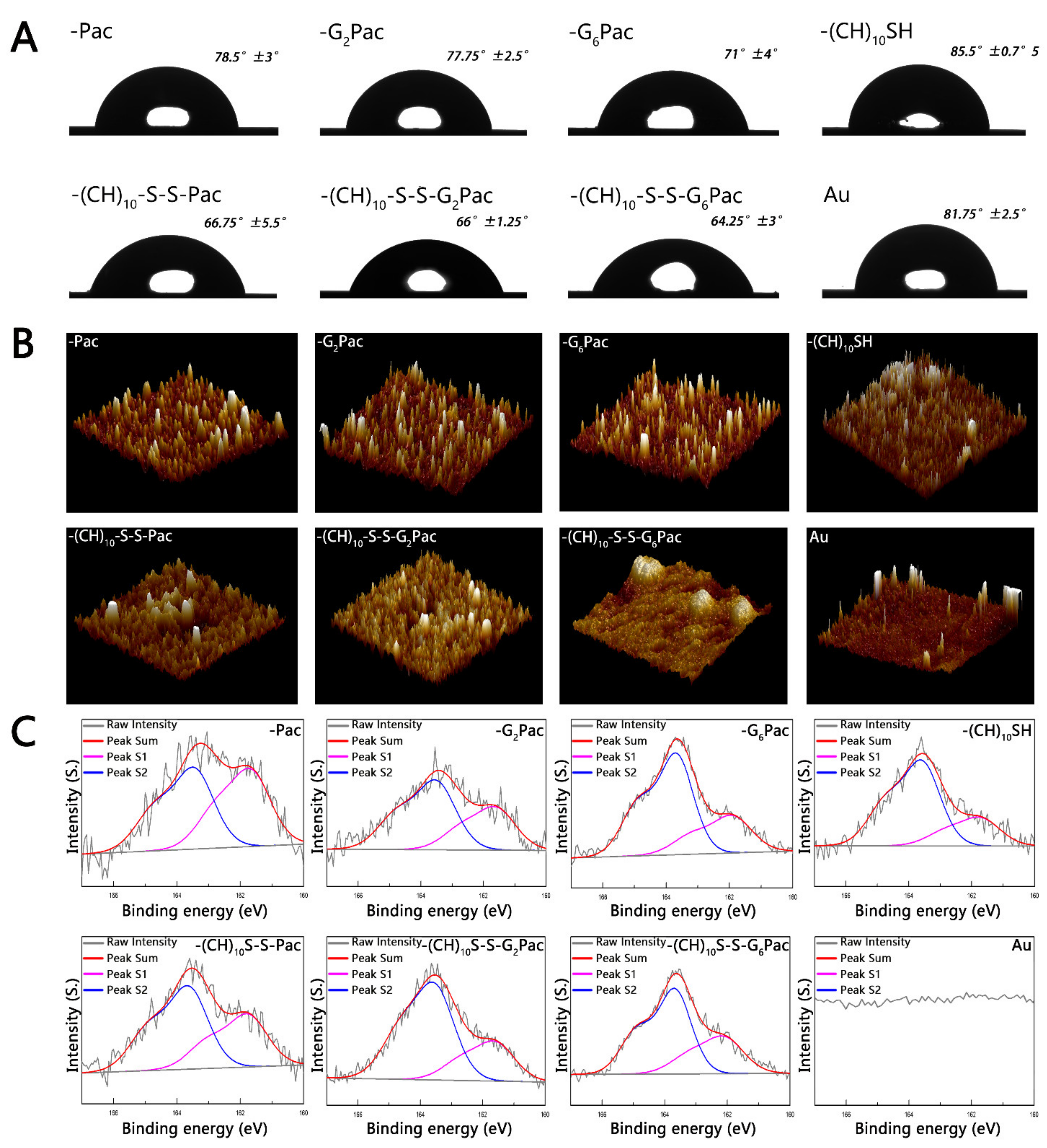 Coatings 11 01014 g002