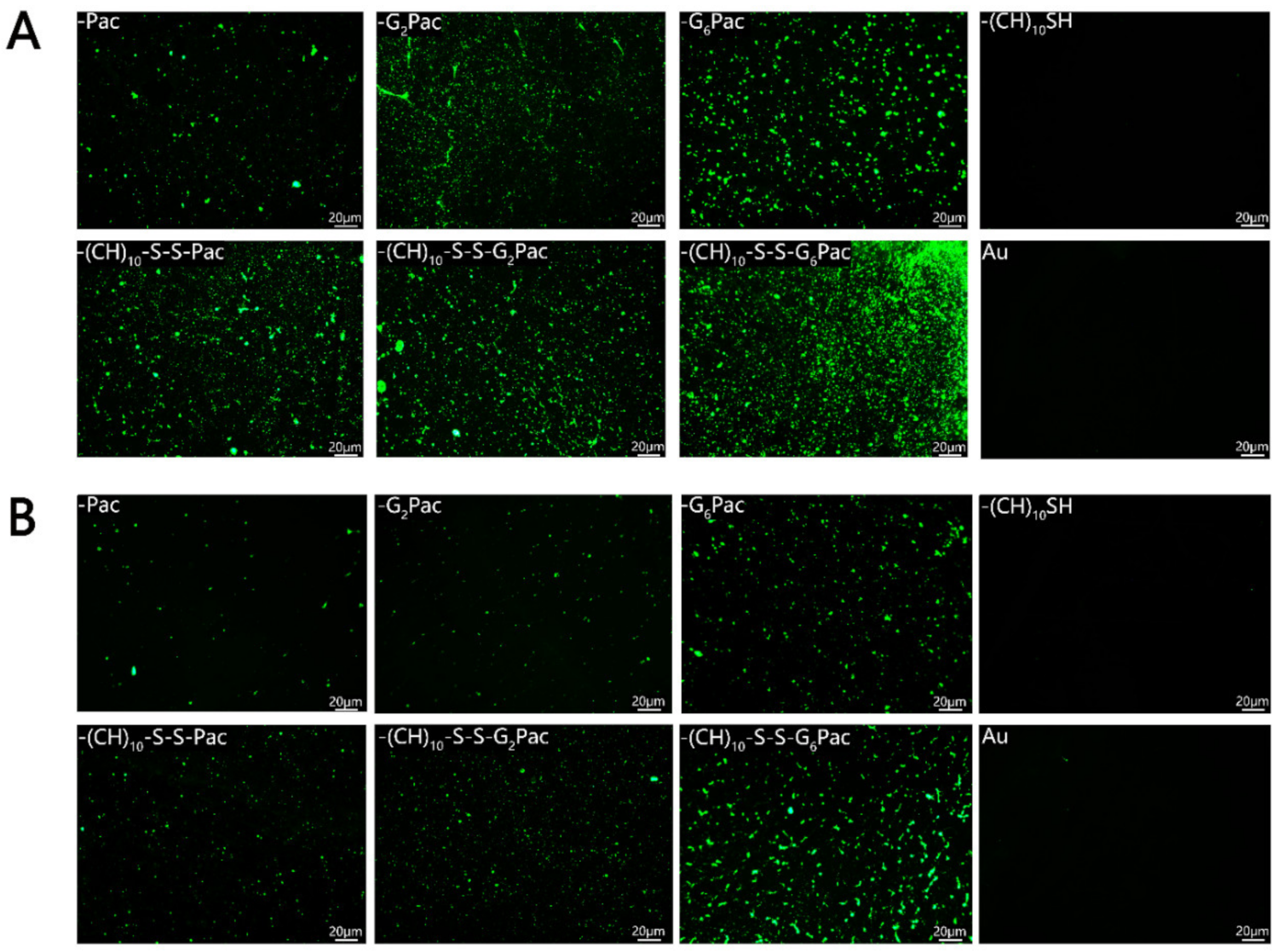 Coatings 11 01014 g006