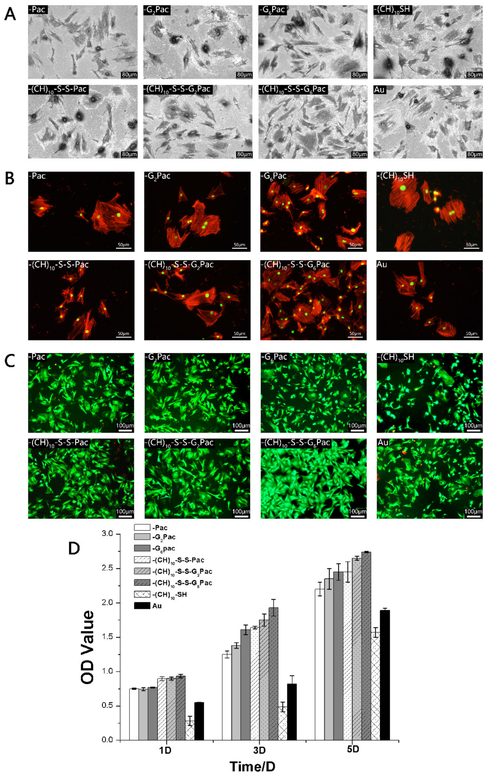 Coatings 11 01014 g007