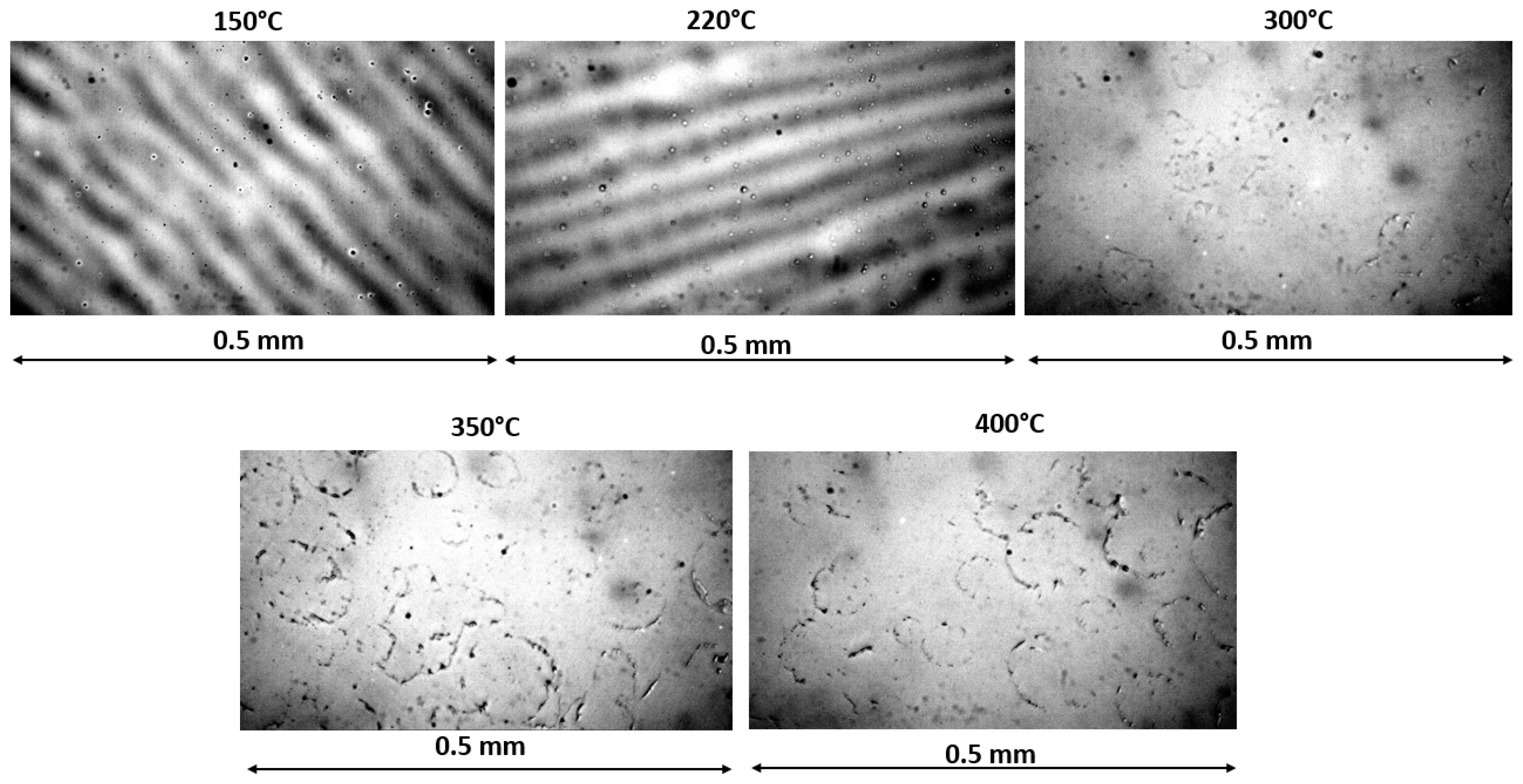Coatings 11 01015 g008