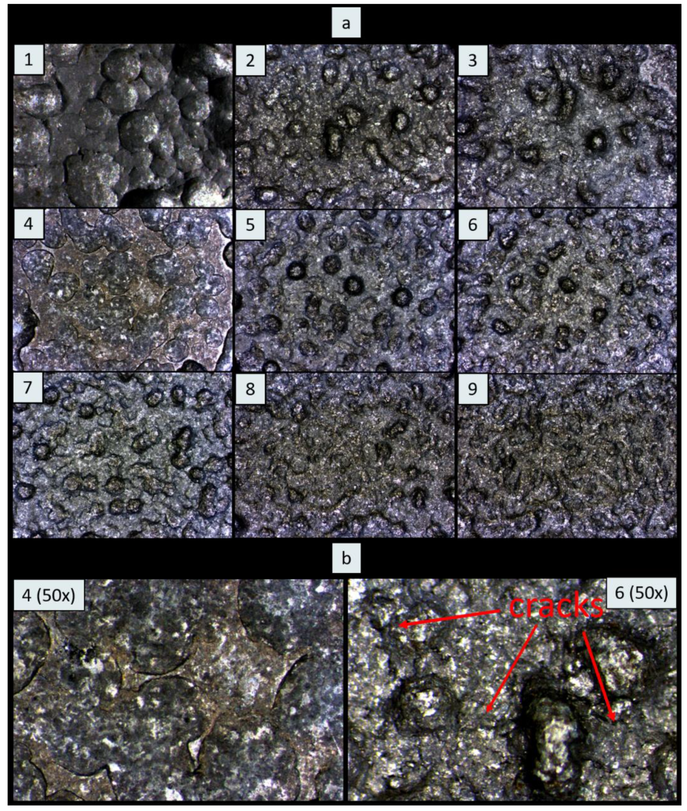 Coatings 11 01016 g003