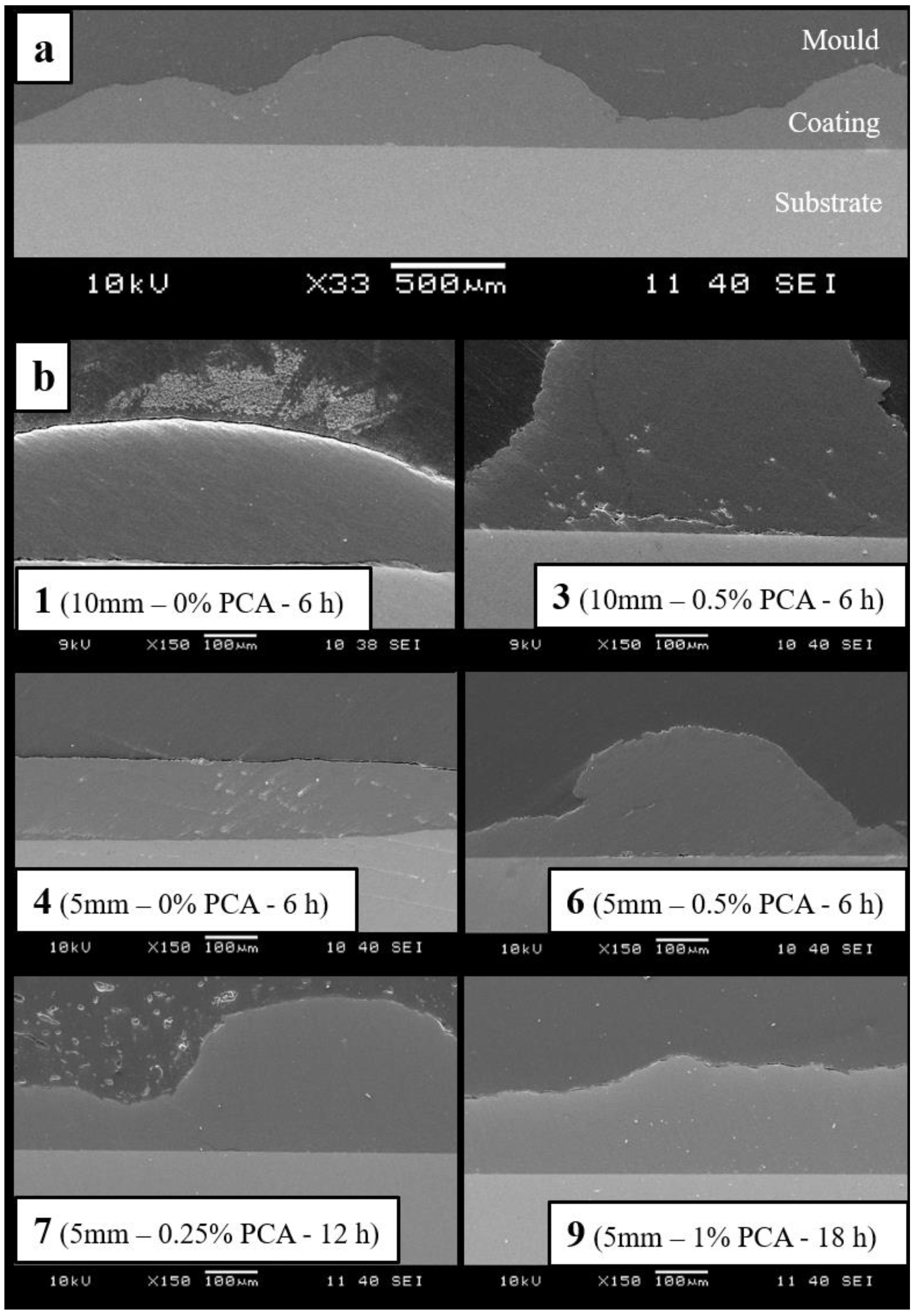 Coatings 11 01016 g008