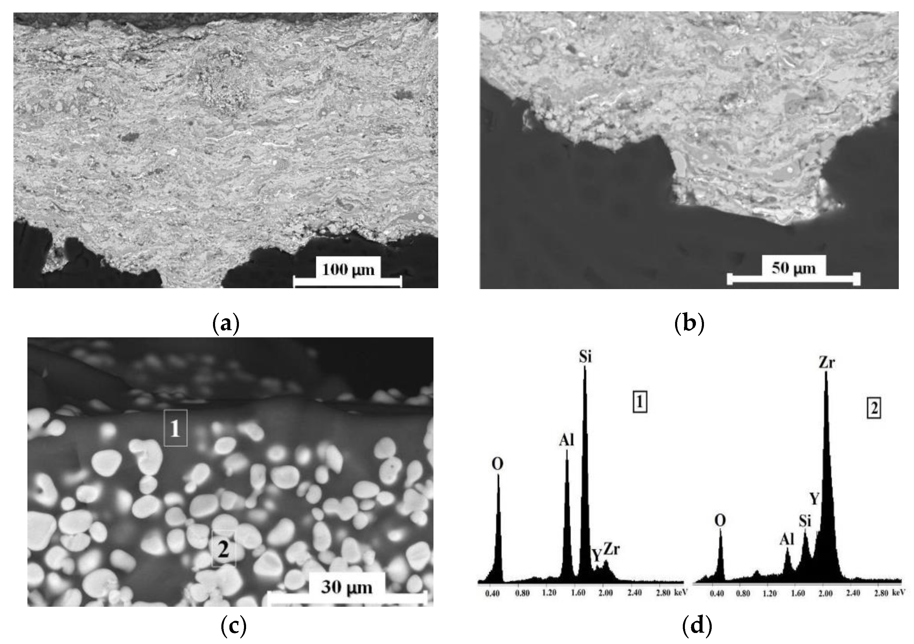 Coatings 11 01018 g001